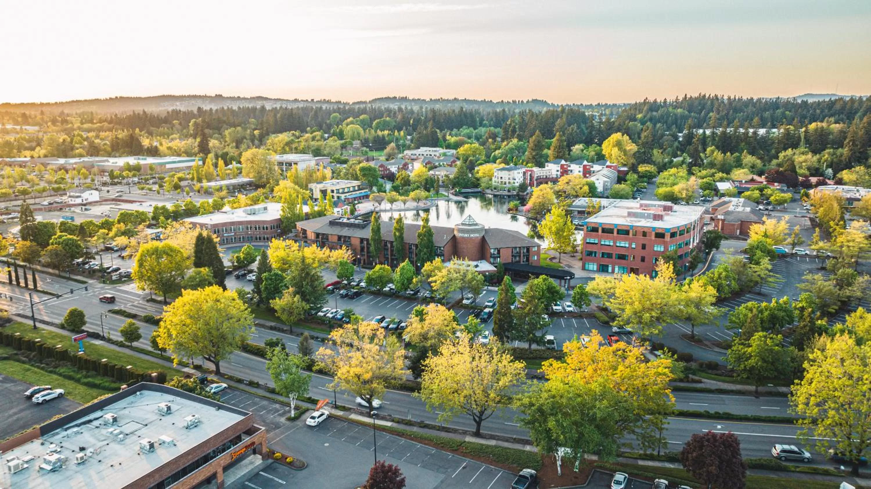Bird's-eye View in Century Hotel