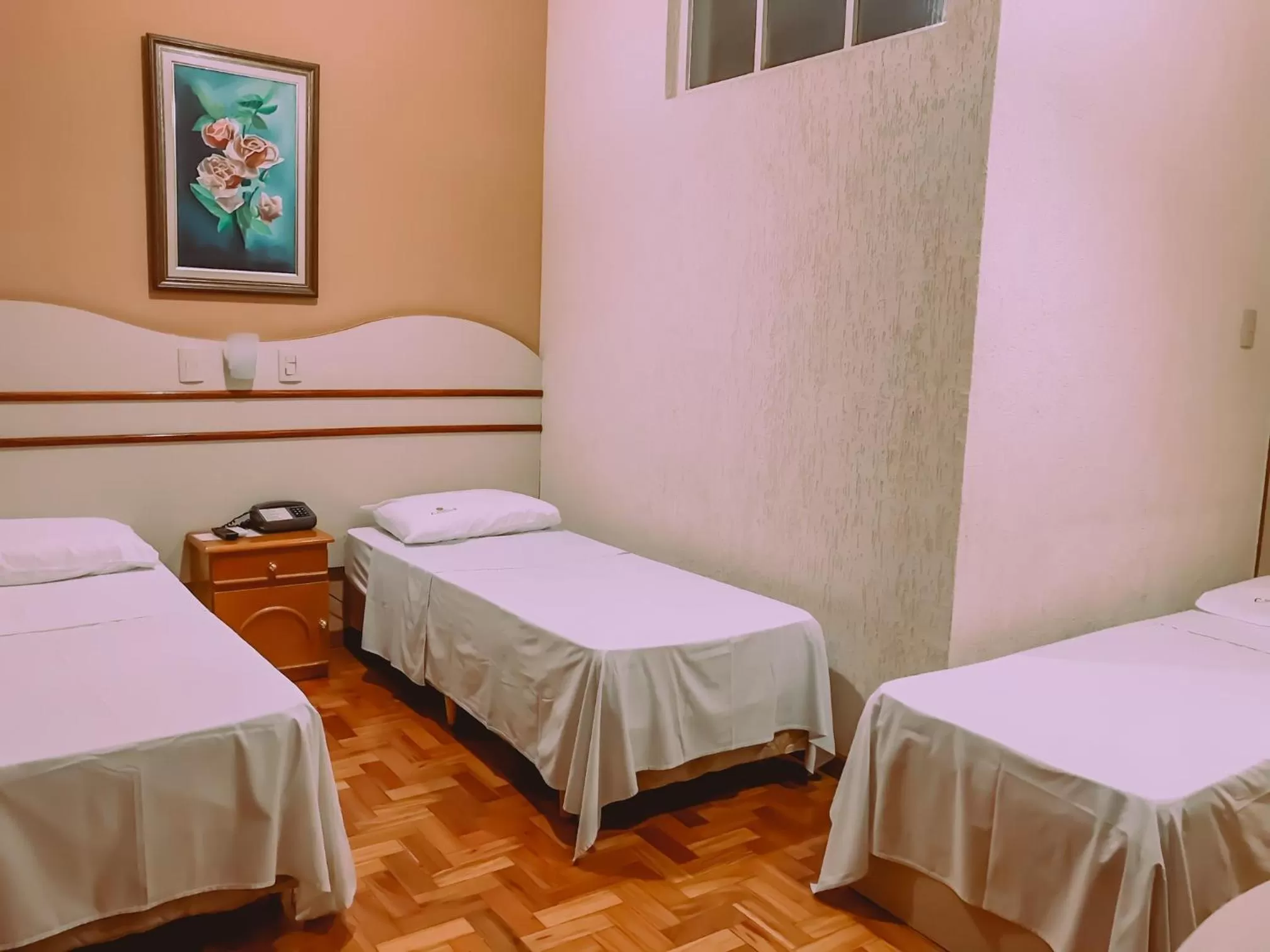 Triple Room with Private Bathroom in Hotel Cataguases
