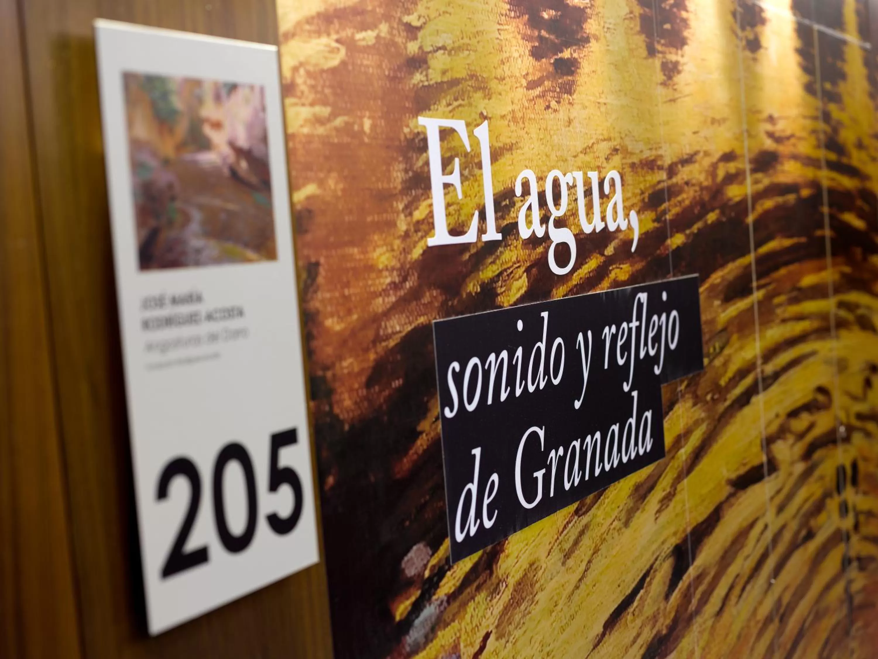 Decorative detail in Hotel Abades Recogidas