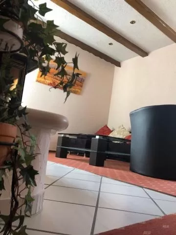 Seating area in Hotel Restaurant Zum Schwan