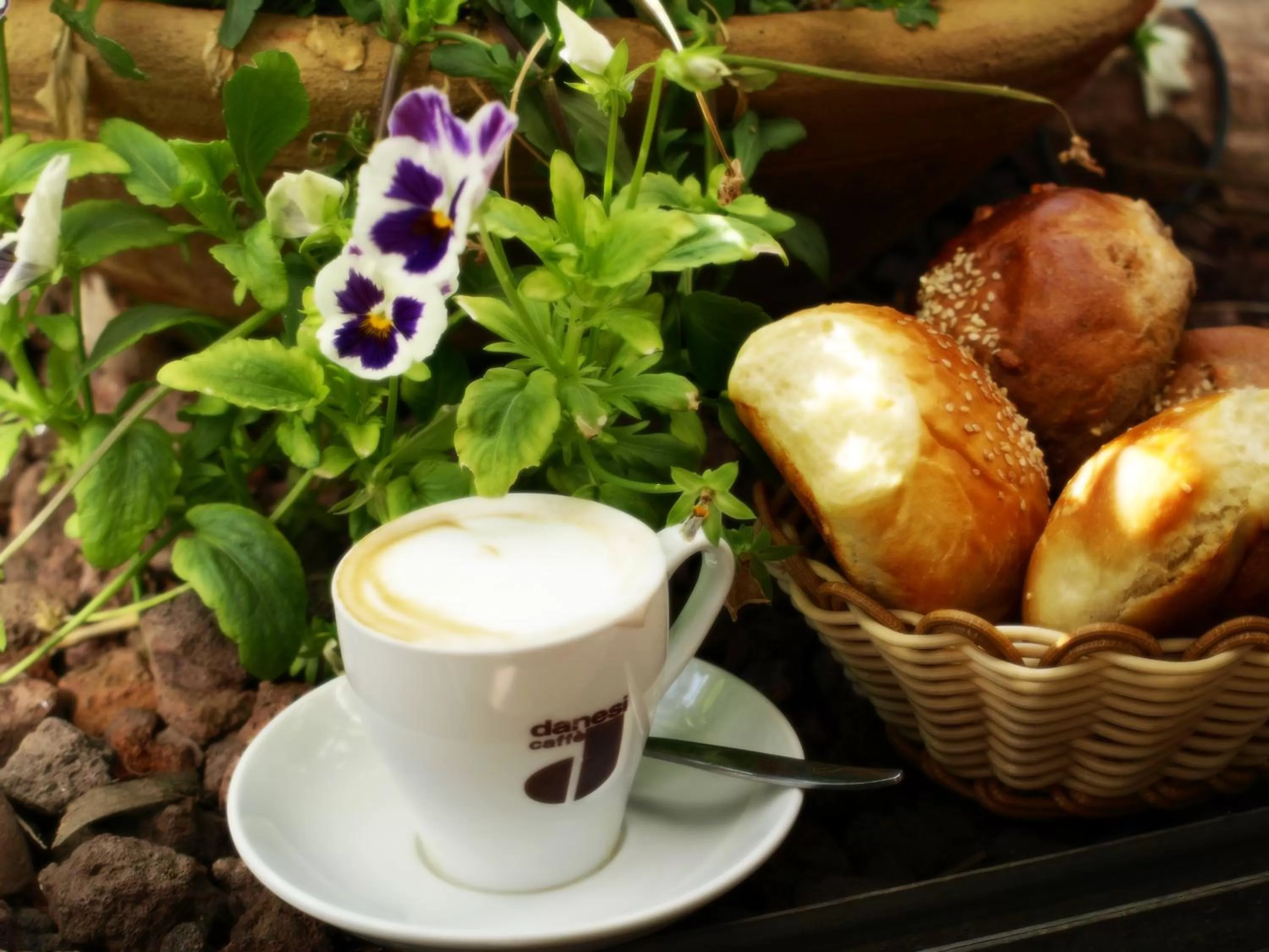 Food and drinks in The Little House In Bakah