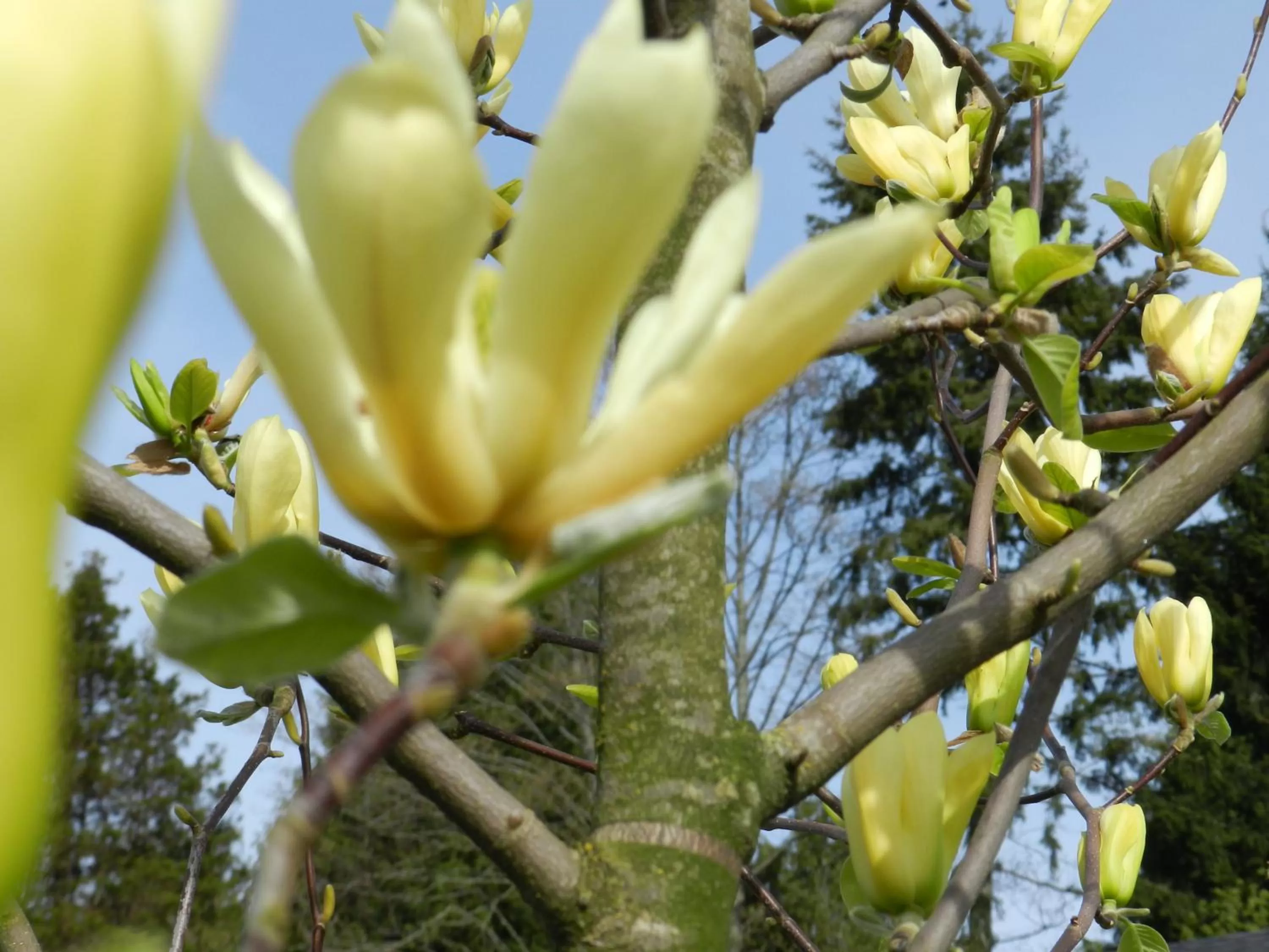 Street view, Other Animals in Serenity