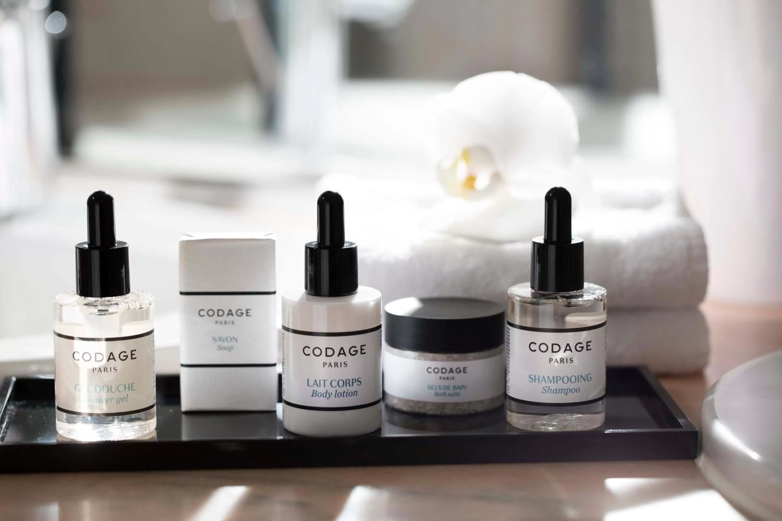 Toilet in Hotel Duminy-Vendome