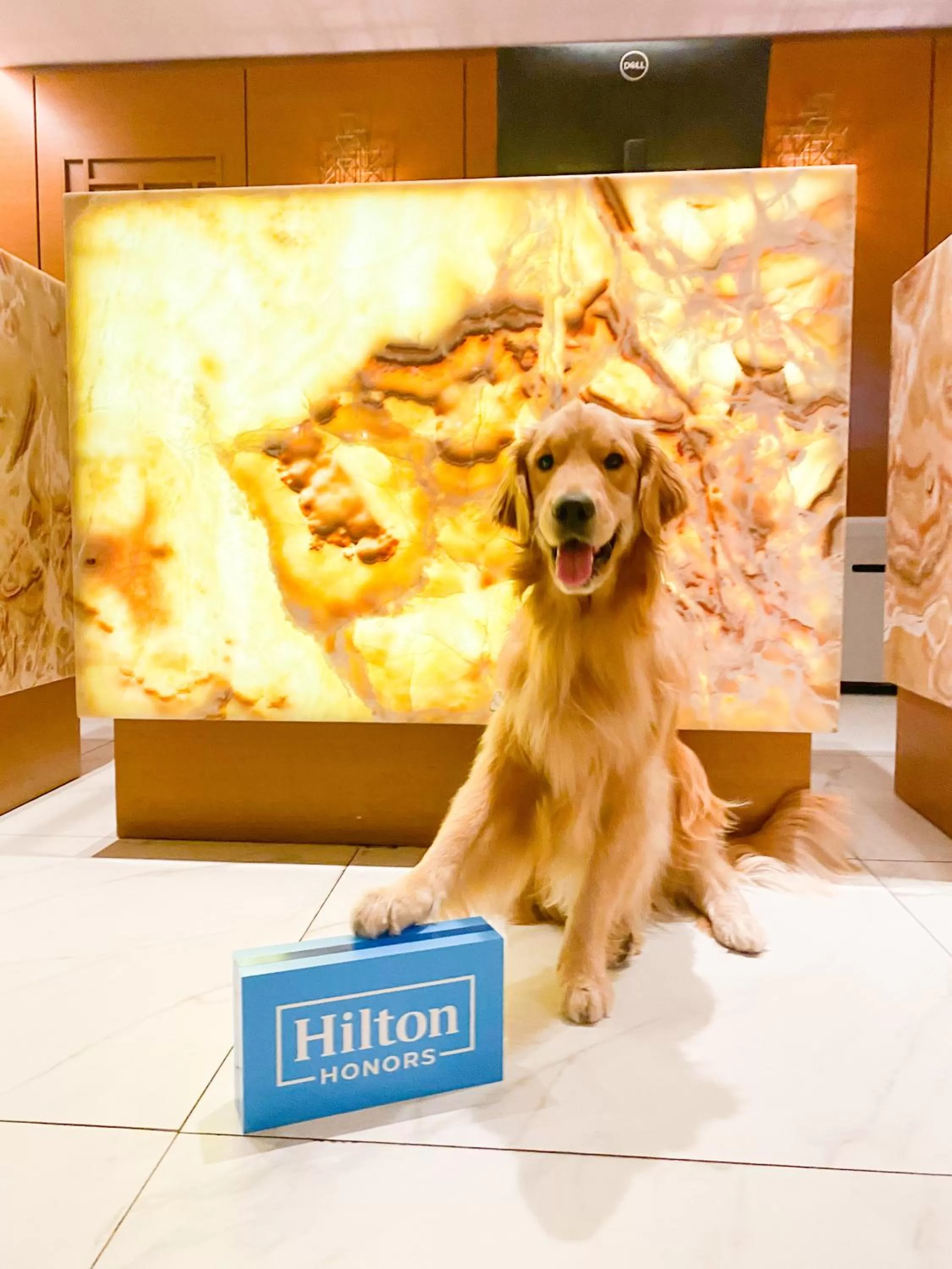 Property building in Hilton Porto Alegre, Brazil