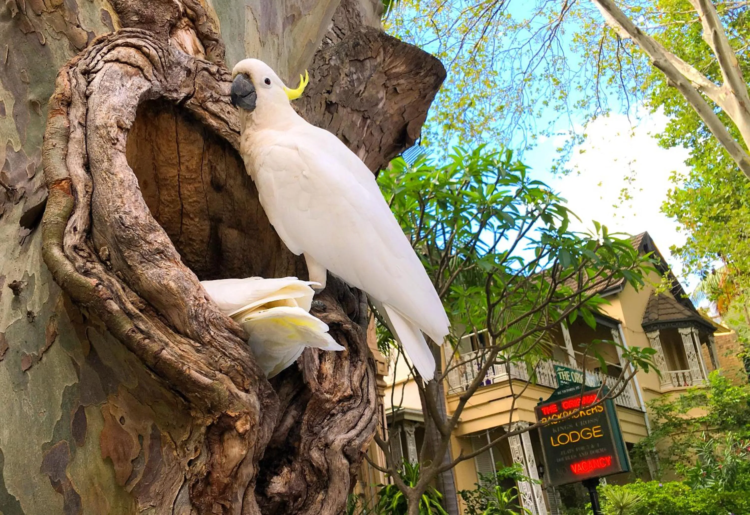 Facade/entrance in Original Backpackers