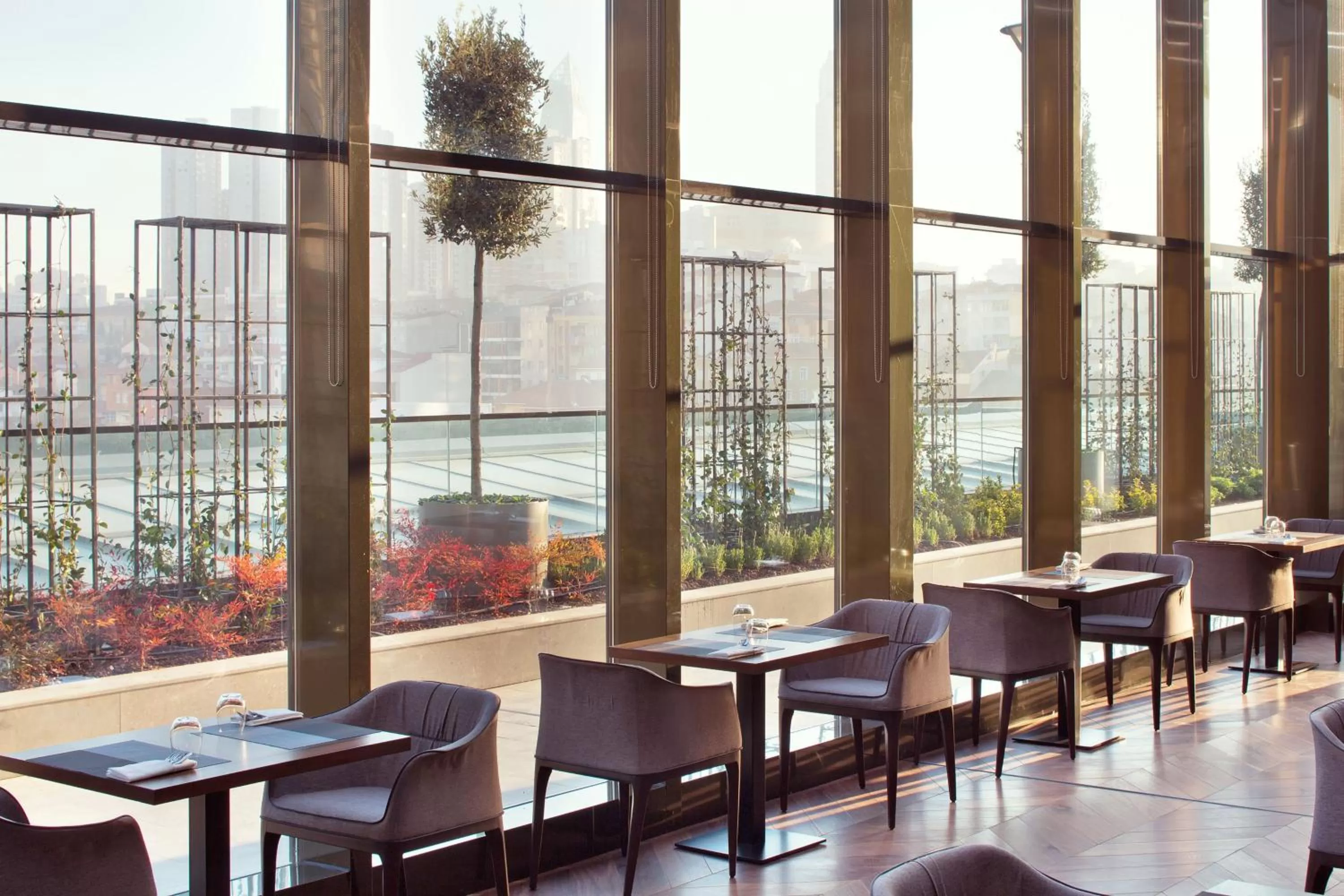 Restaurant/places to eat in Sheraton Grand Istanbul Atasehir