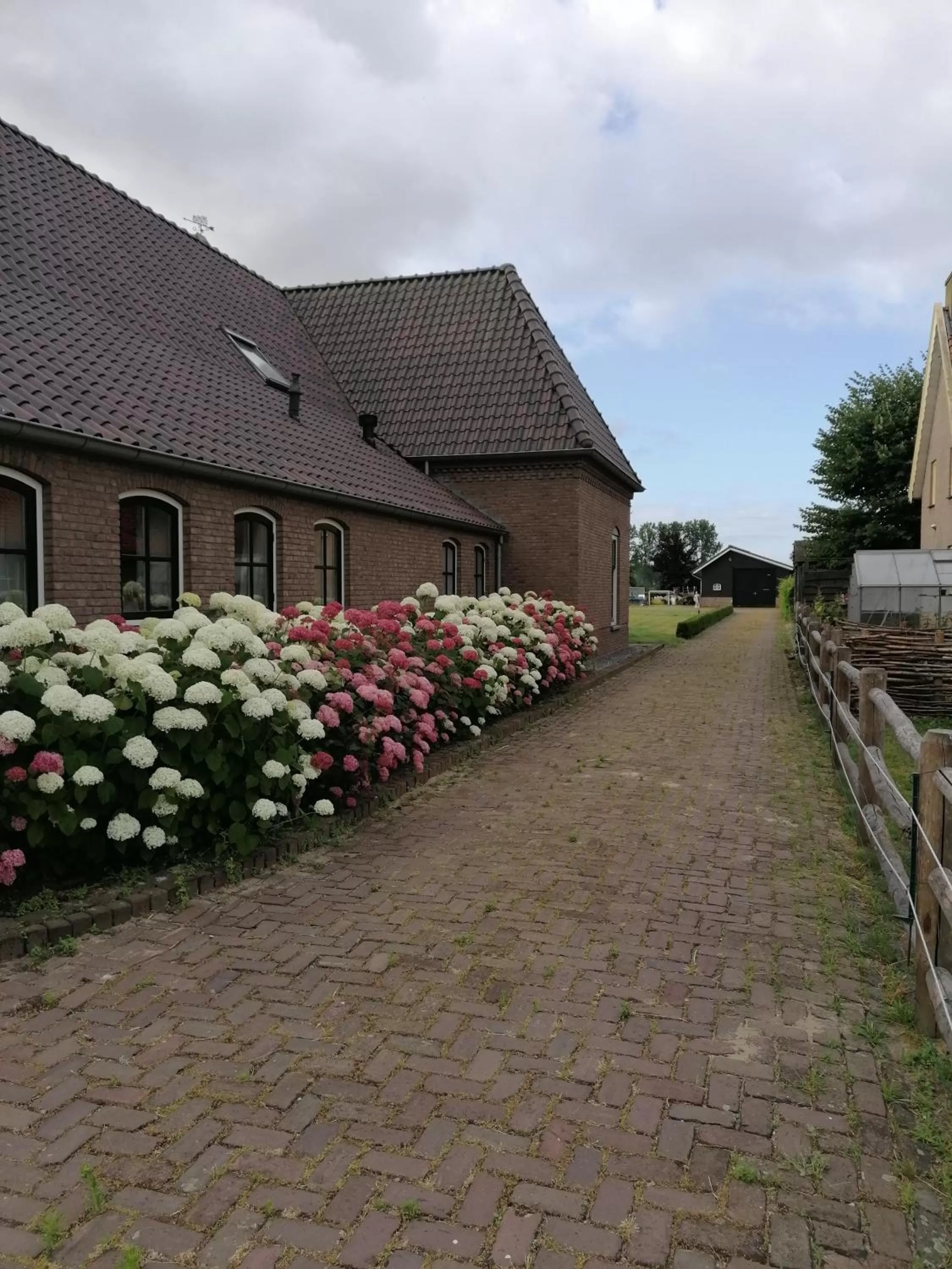 Neighbourhood in B&B d'n Uilenhof Haren