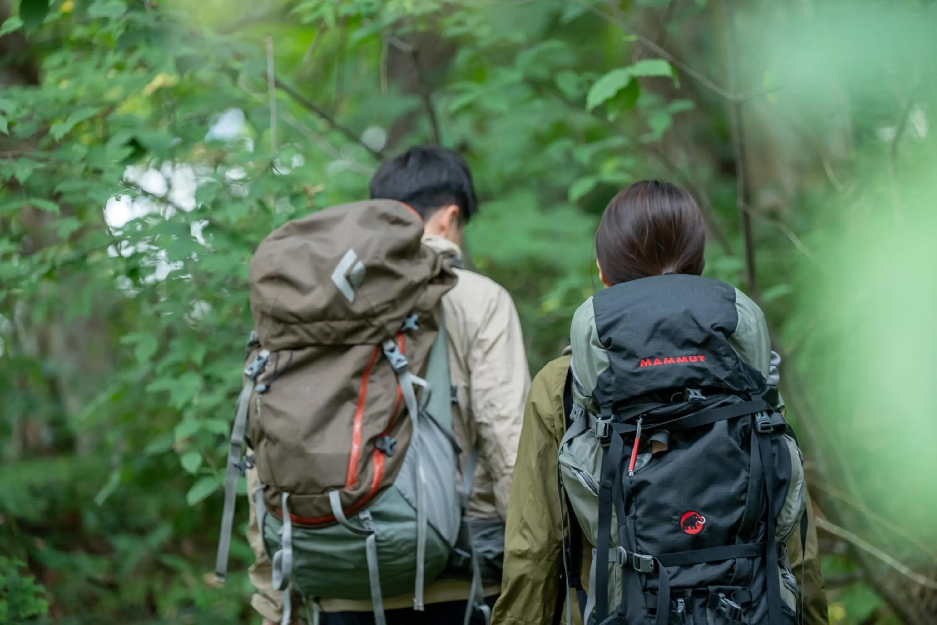 Day in Hotel Stelle Belle