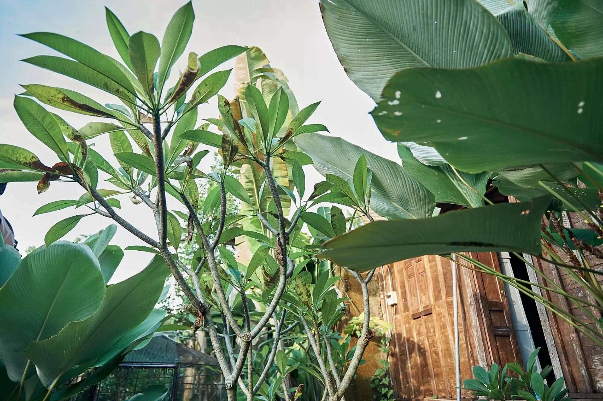 Natural landscape in Lembah Sentosa