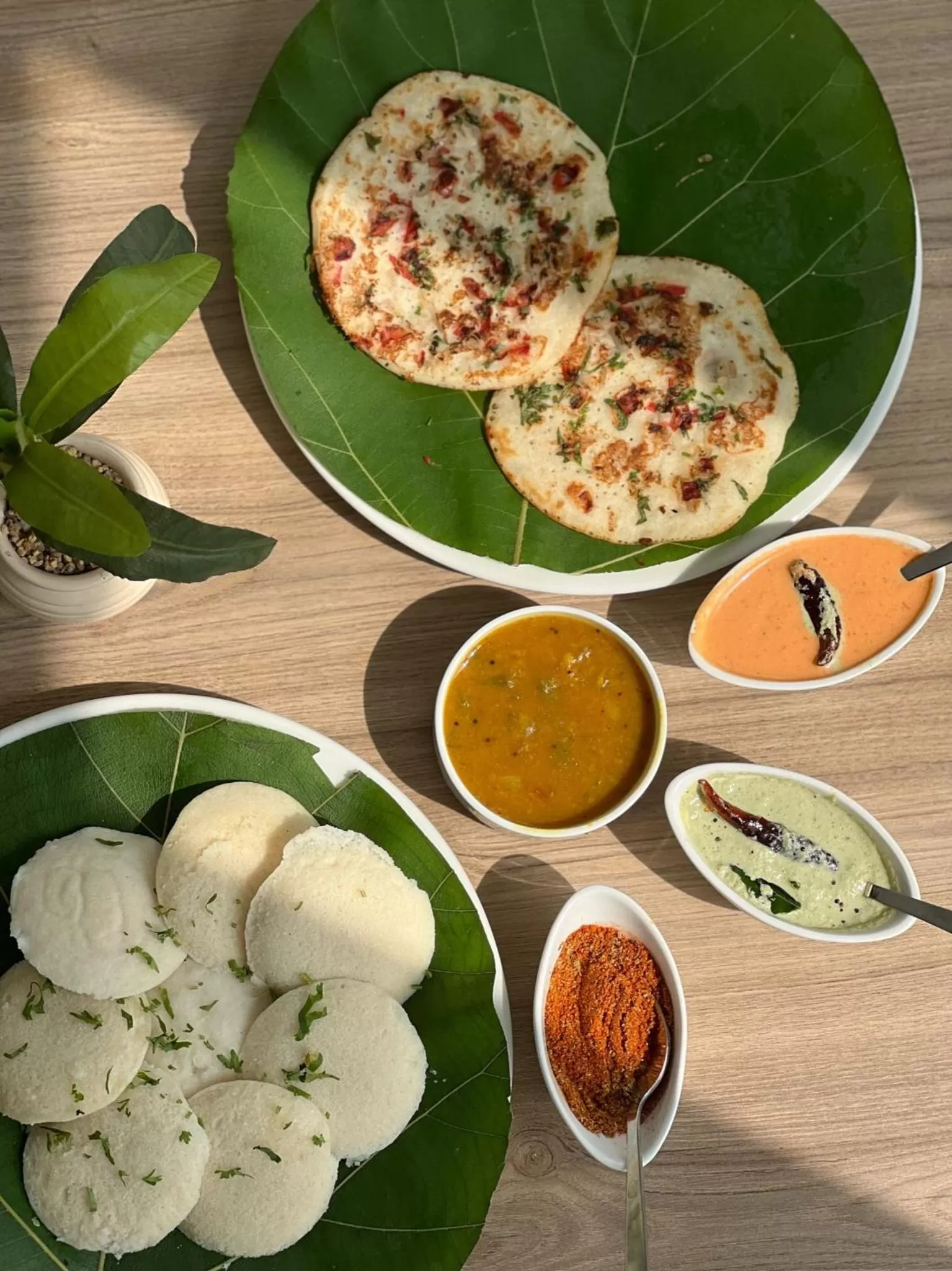 Food in Terrakotta Rishikesh