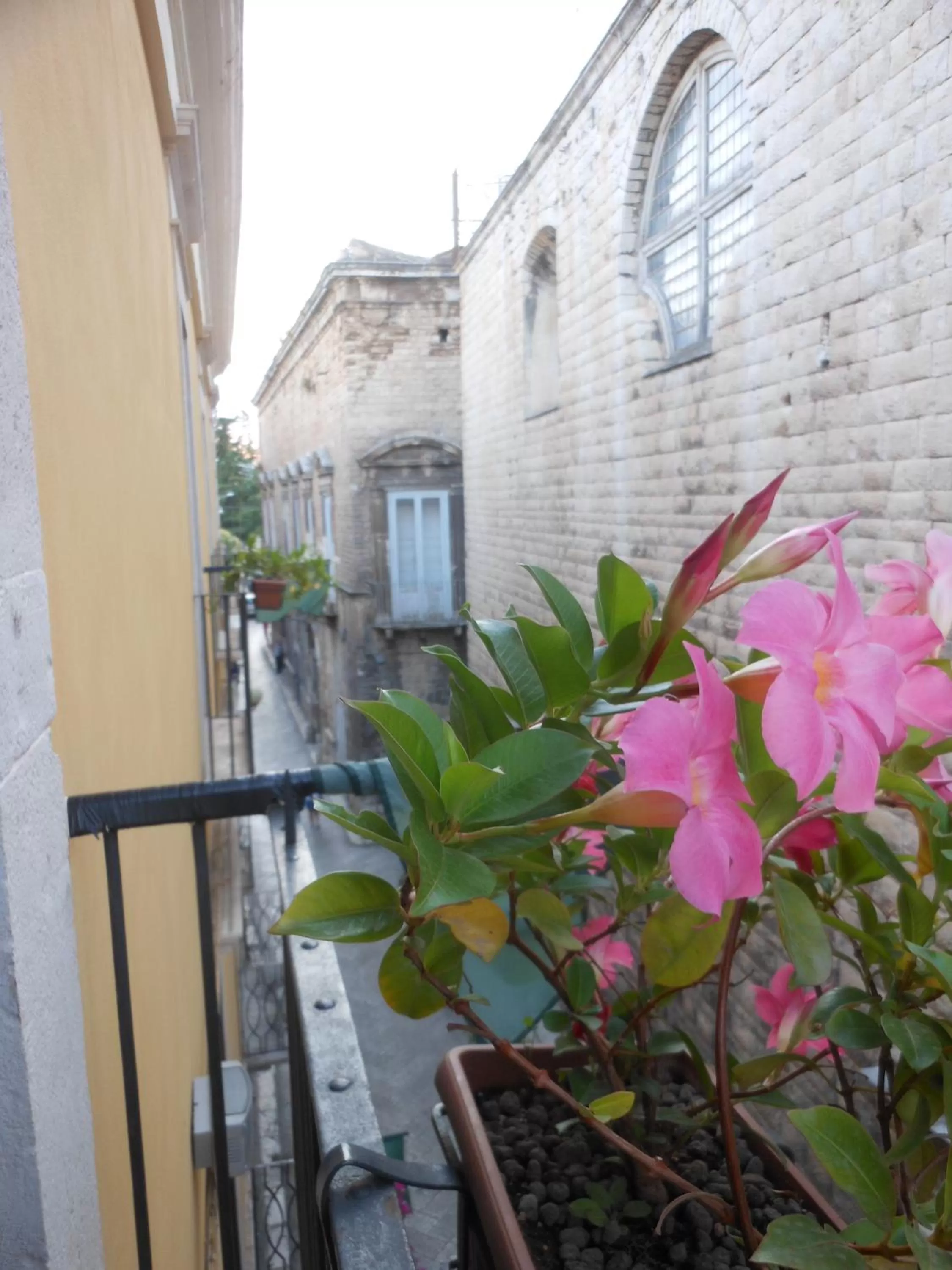 Decorative detail in Palazzo Antica Via Appia