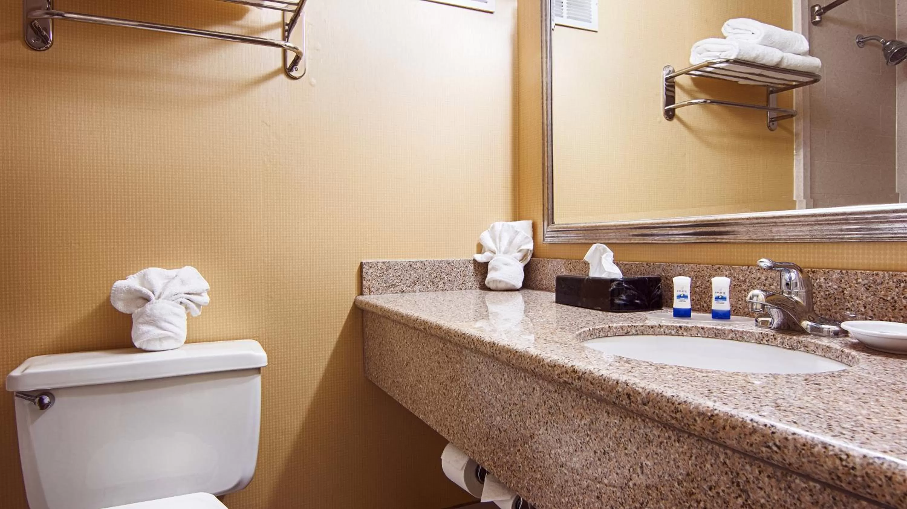 Bathroom in Quality Inn & Suites East Syracuse - Carrier Circle