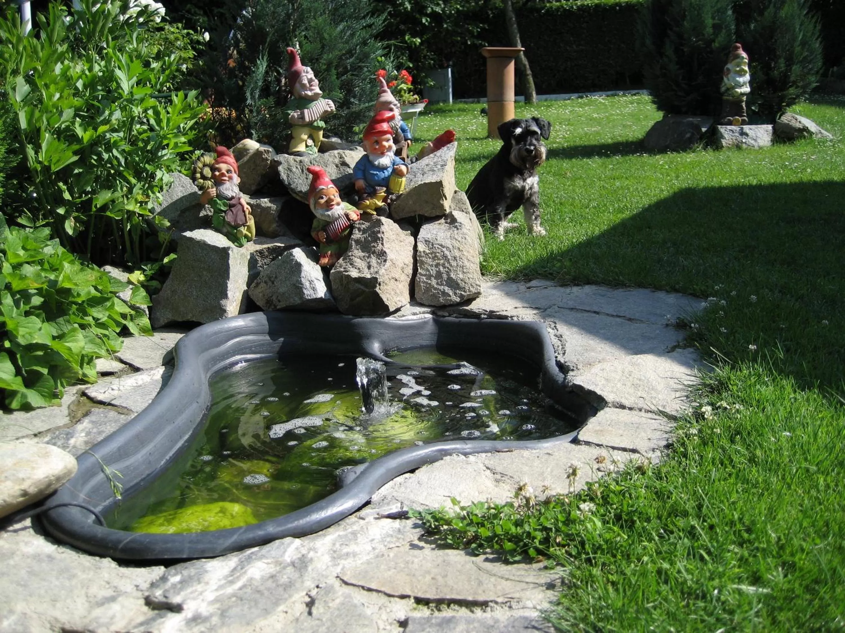Garden in Mekina Guesthouse