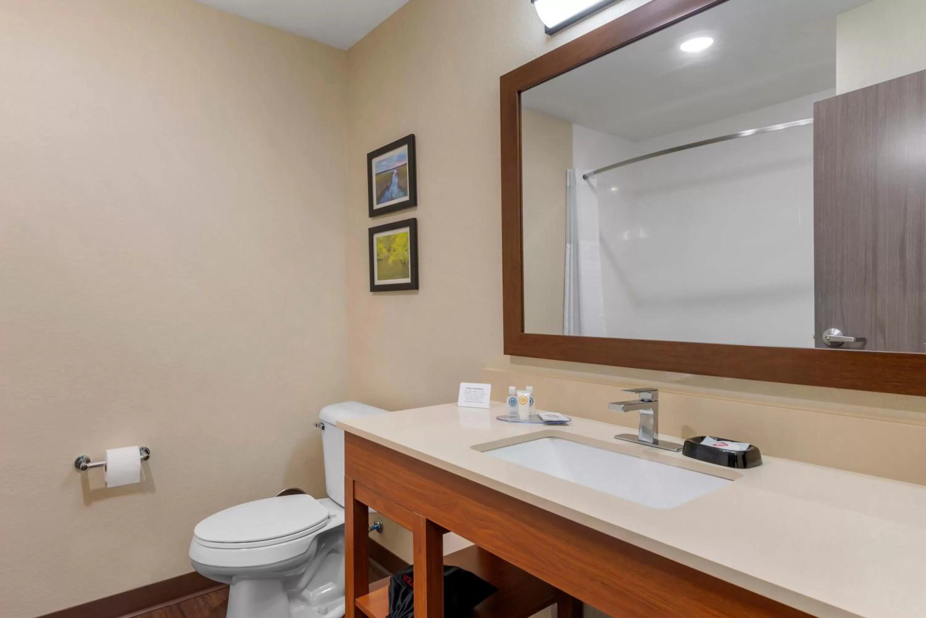 Bathroom in Comfort Inn & Suites North Mankato