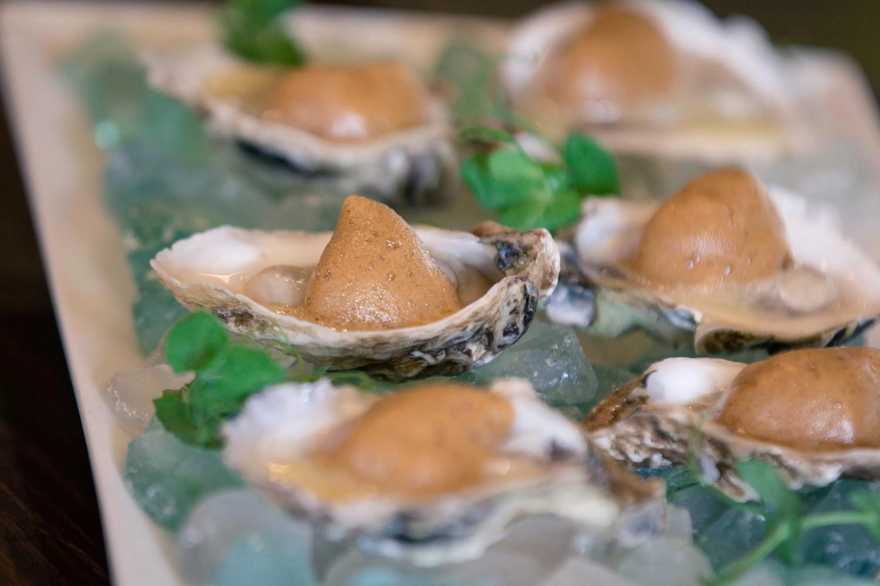 Food close-up, Food in Pilgrim House