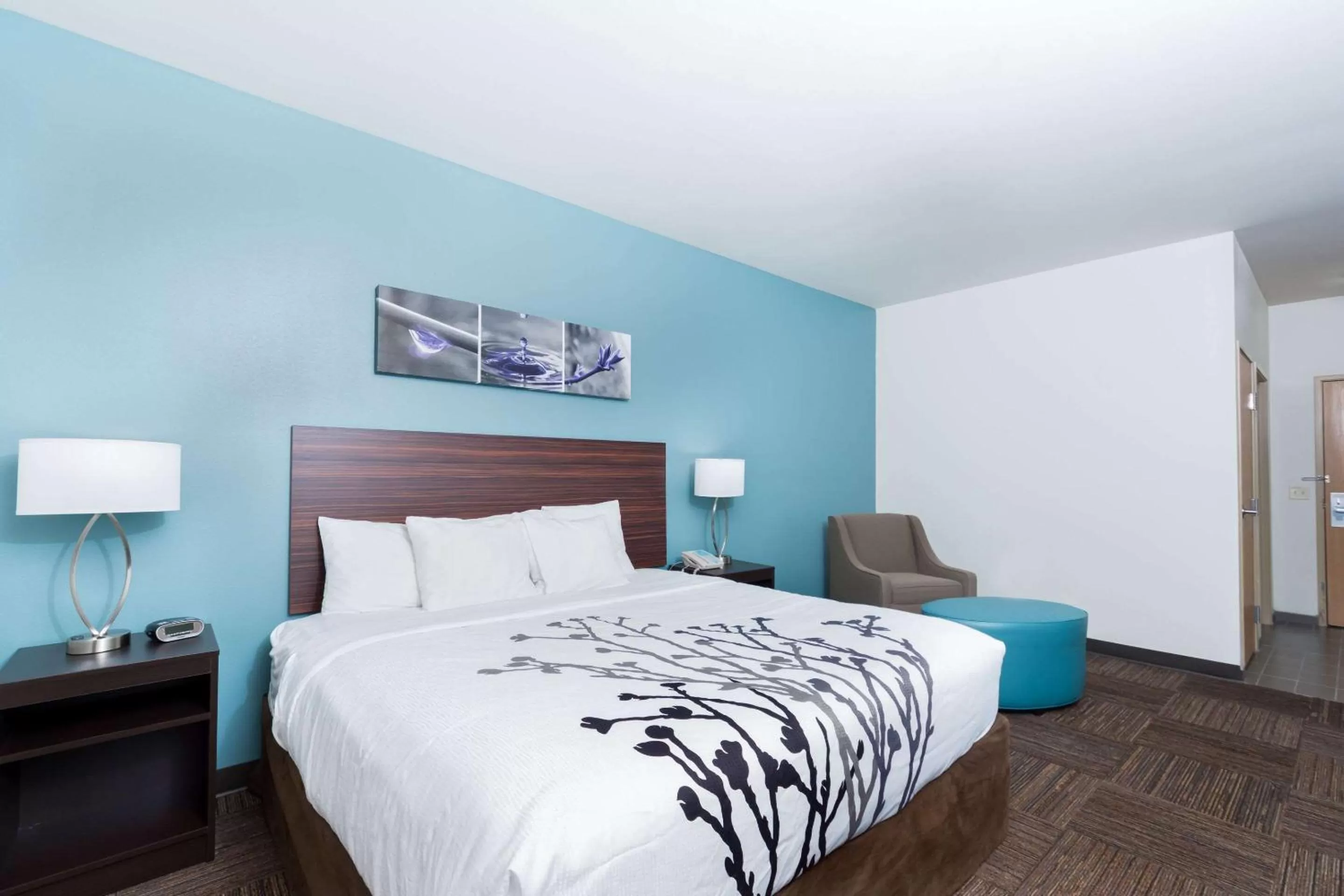 Photo of the whole room, Bed in Sleep Inn & Suites Washington near Peoria