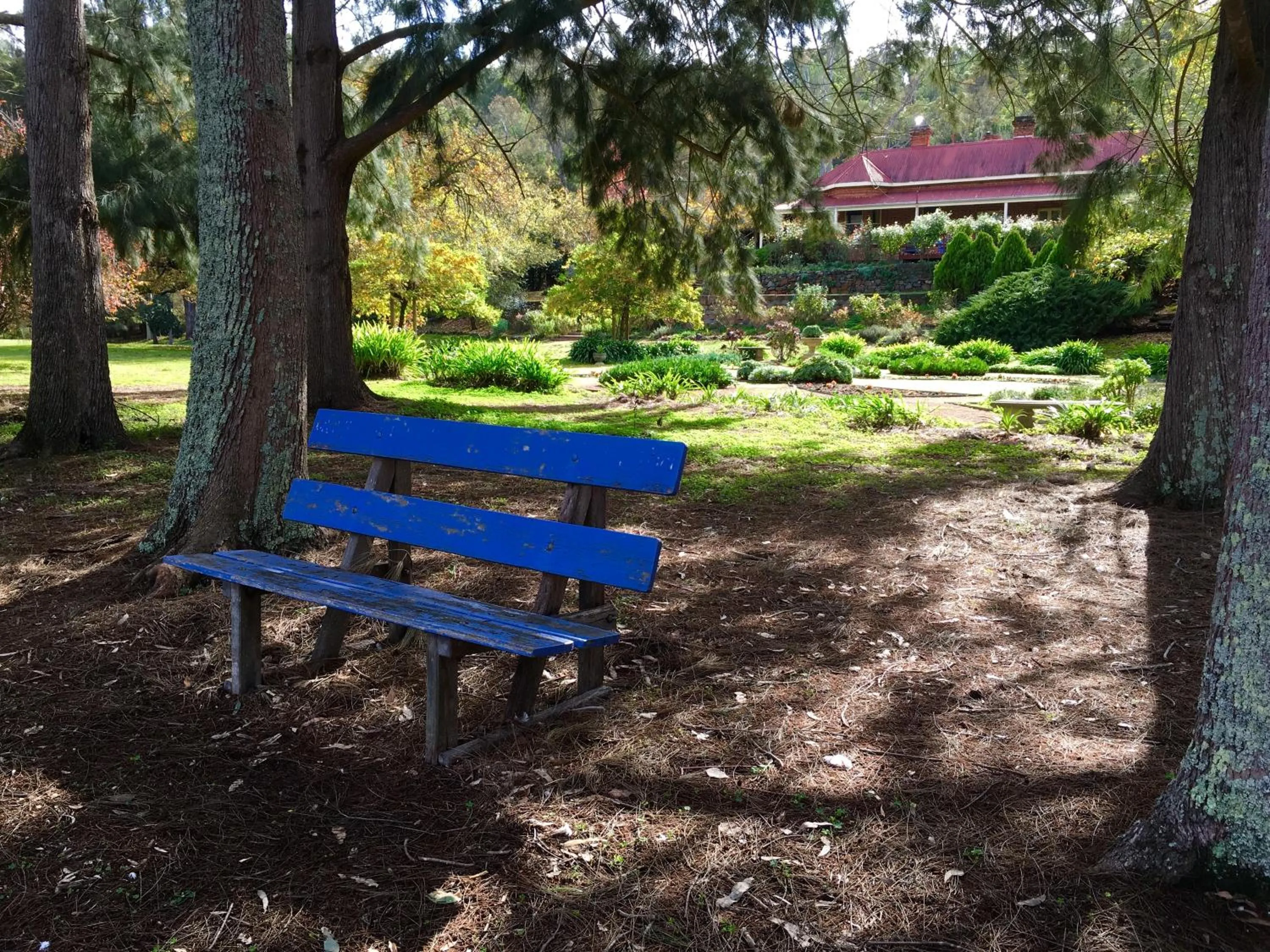 Garden in Ford House Bed & Breakfast