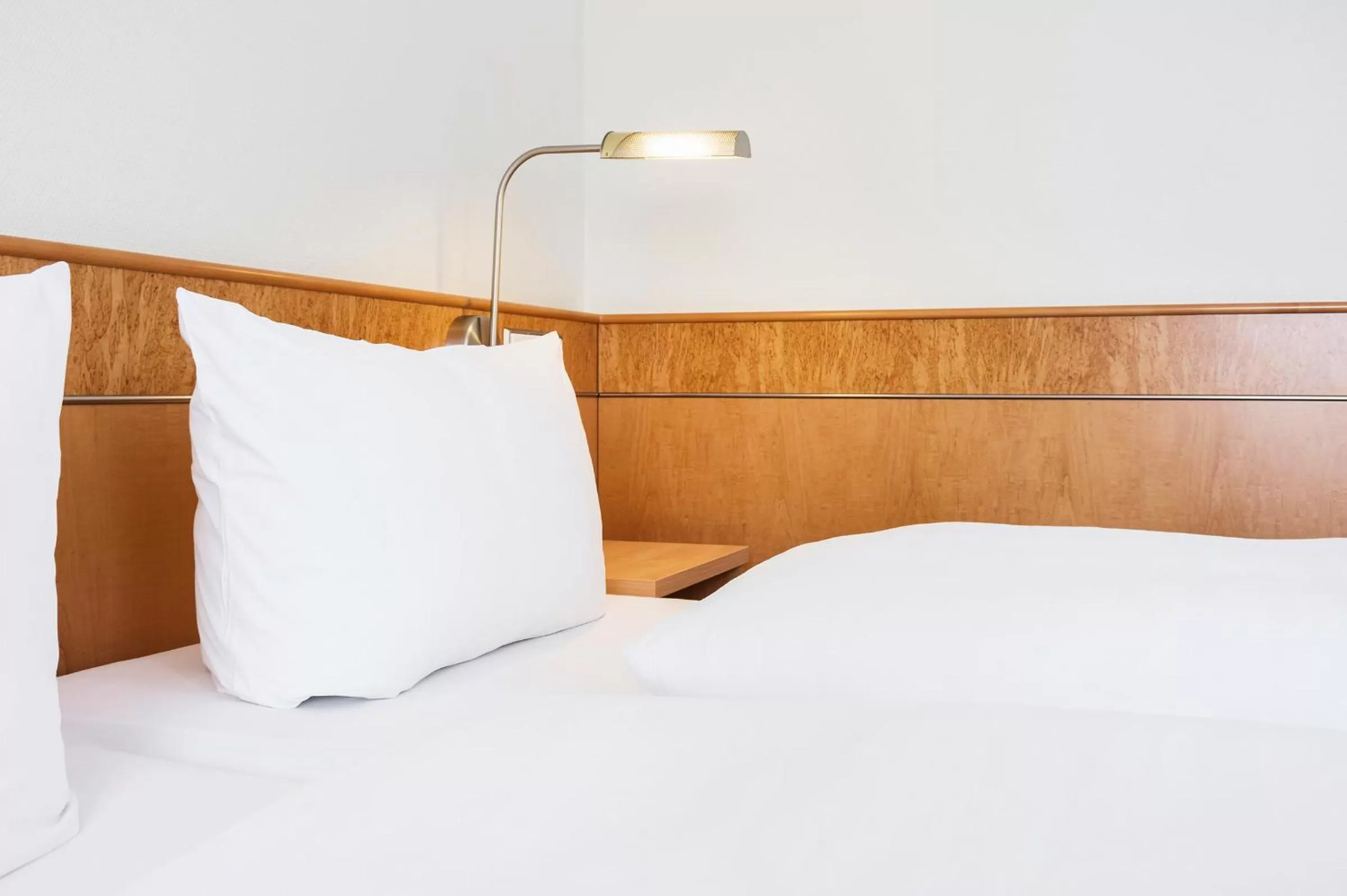 Photo of the whole room, Bed in Hotel Rad