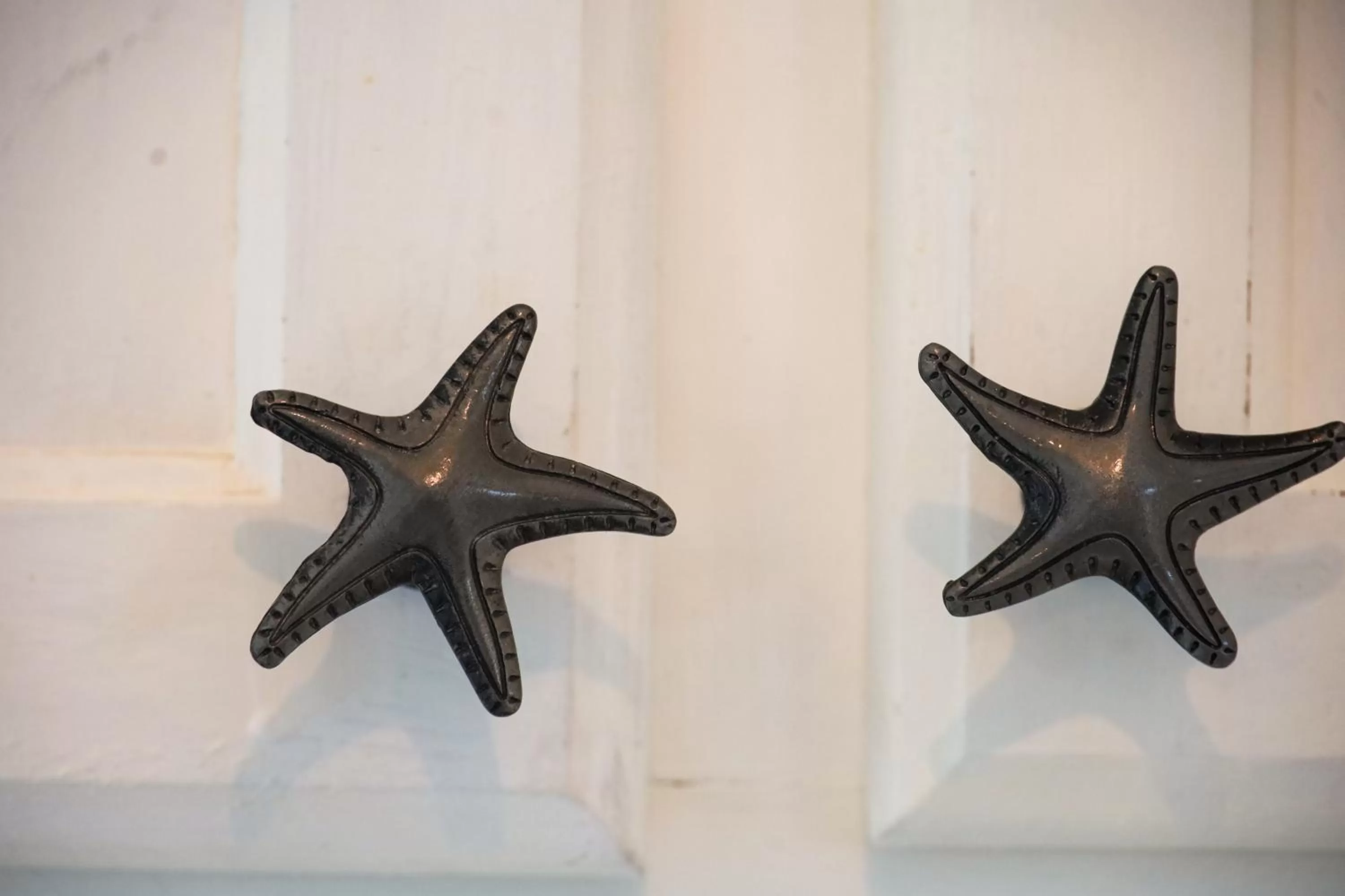 Kitchen or kitchenette in Escape to Myrtle Beach! Massage-Wine-Photoshoot Packages