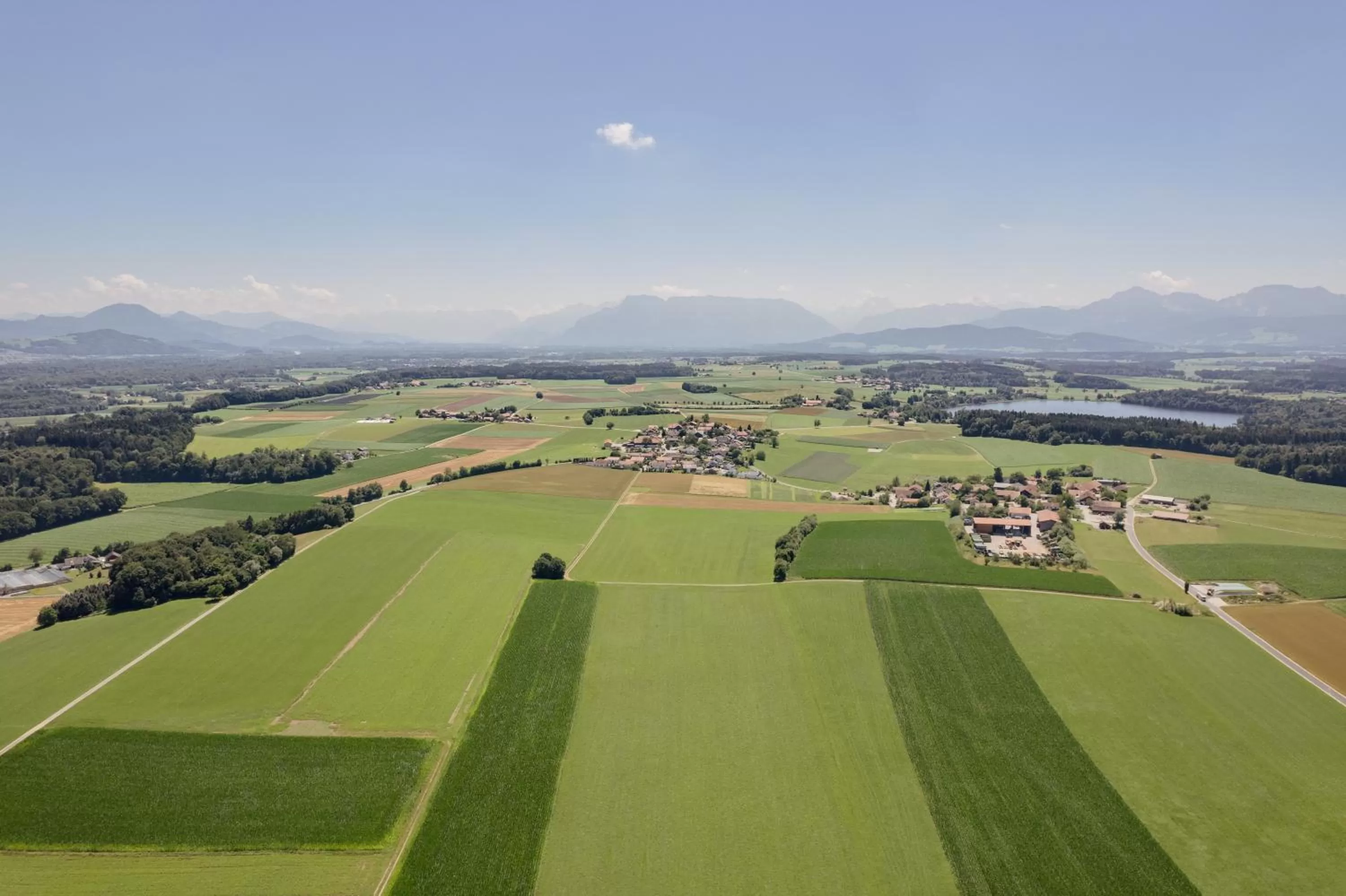 Activities in zumOXN