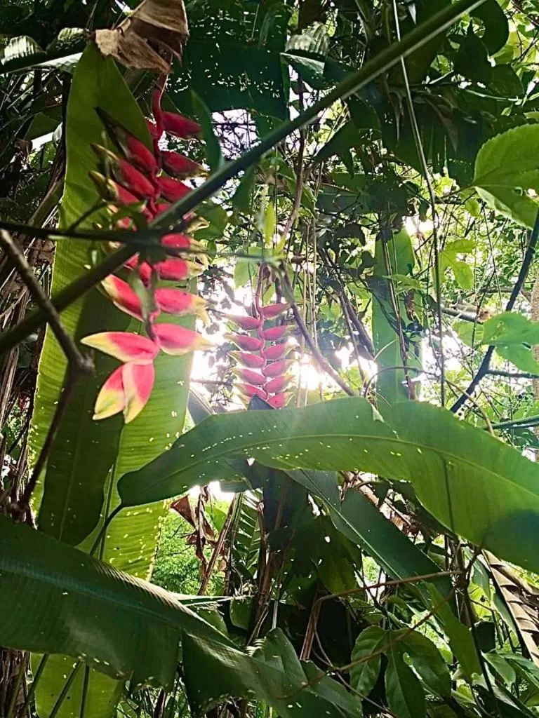 Hotel Villas de la Colina