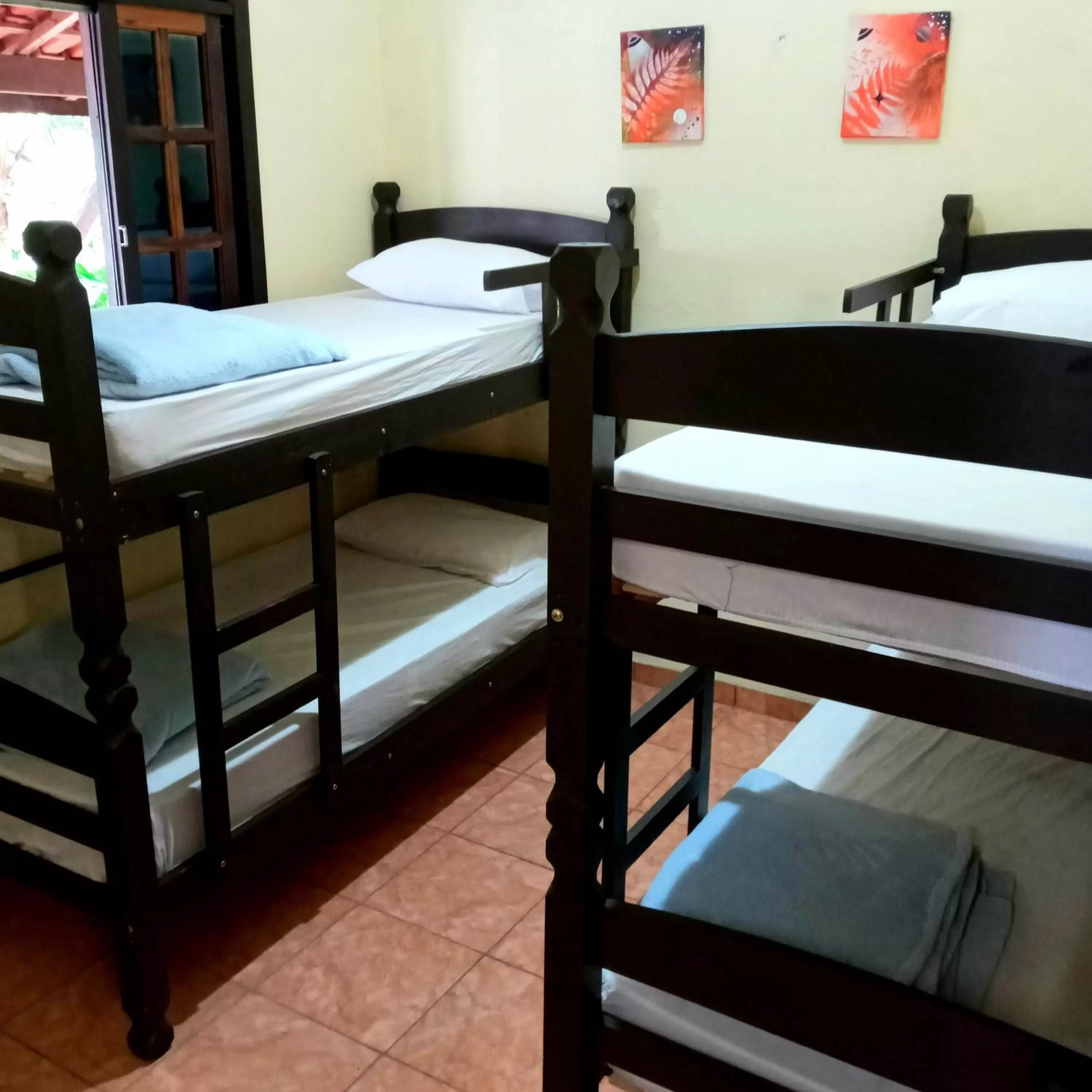 Bunk Bed in Female Dormitory Room   in Pousada e Hostel Marthi