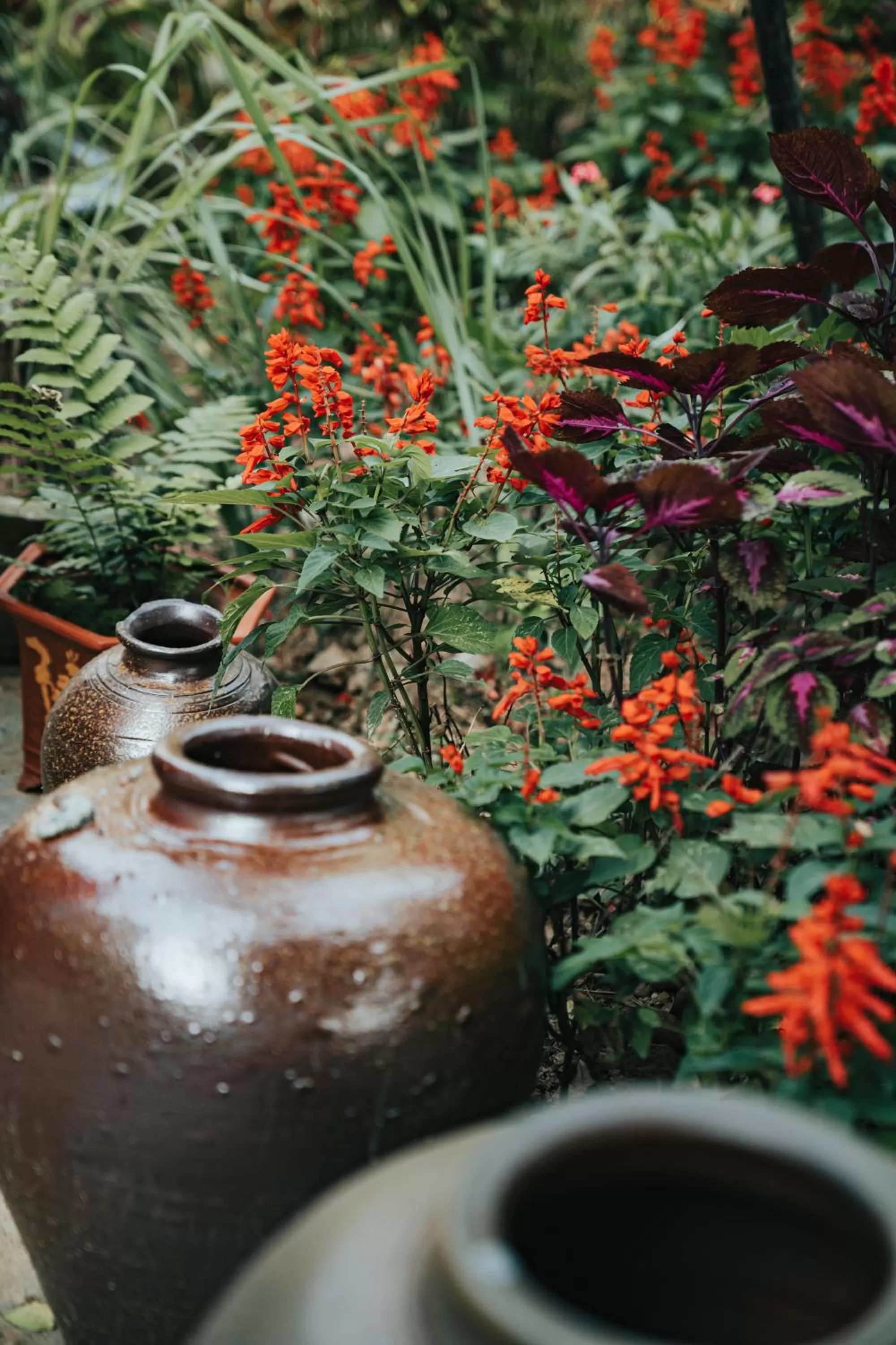 Fairy Mountain Retreat