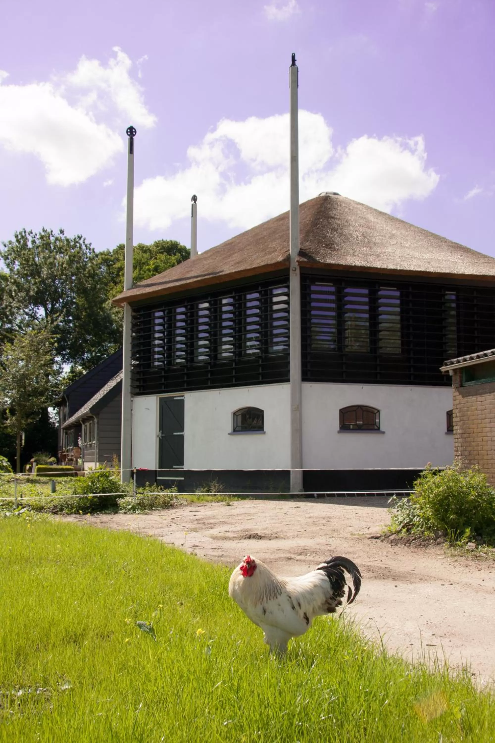 Decorative detail in Boerenhofstede de Overhorn