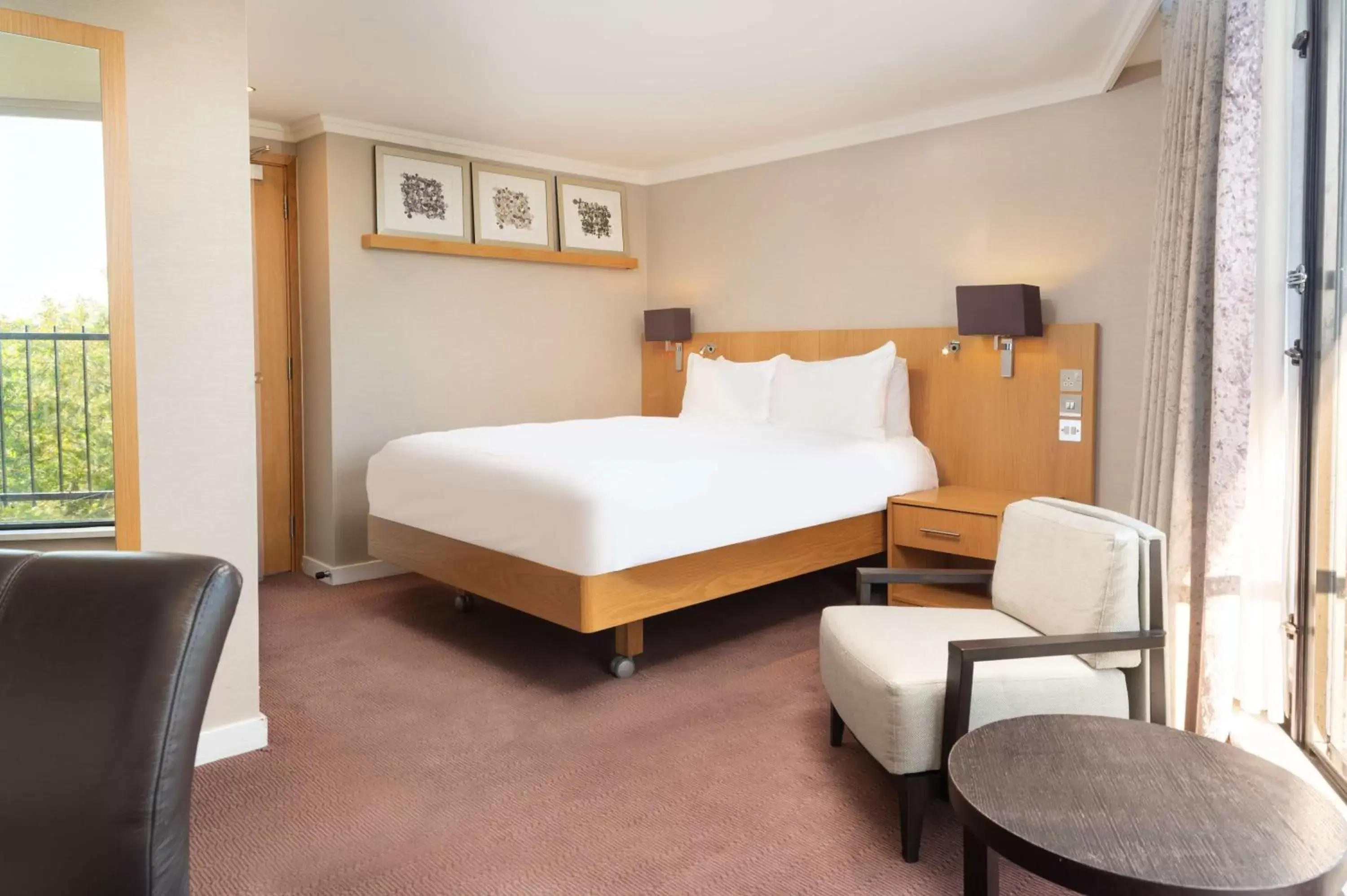 Queen Room in Hilton Birmingham Metropole Hotel Queen Room in Hilton Birmingham Metropole Hotel