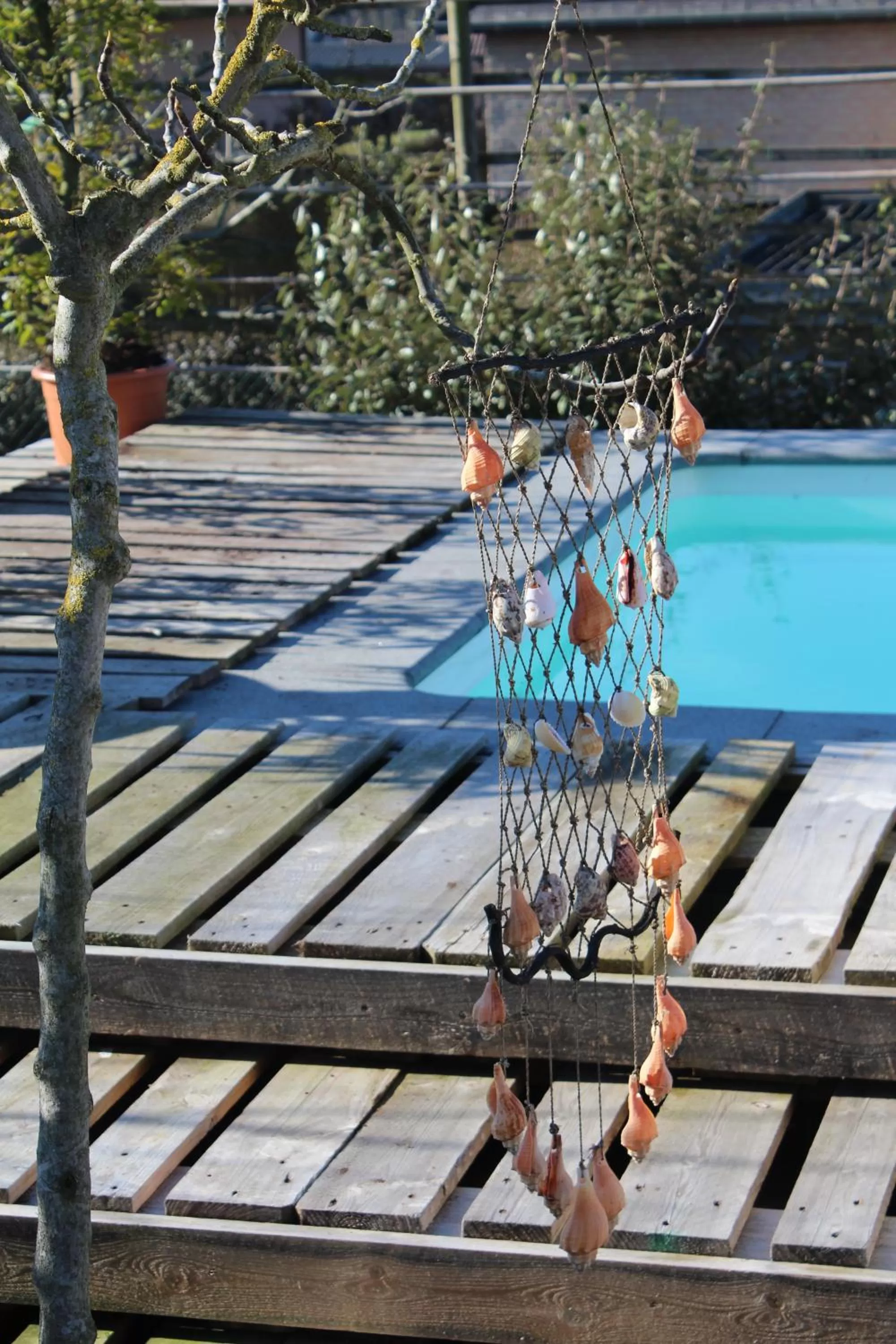 Garden in B&B Afrodite