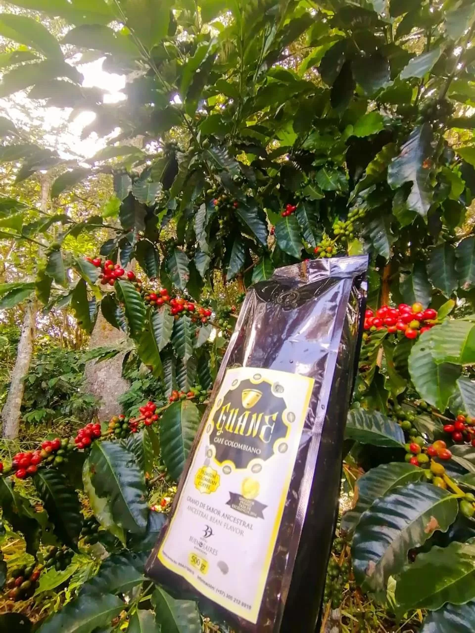 Garden view in Hotel Finca Buenos Aires Barichara