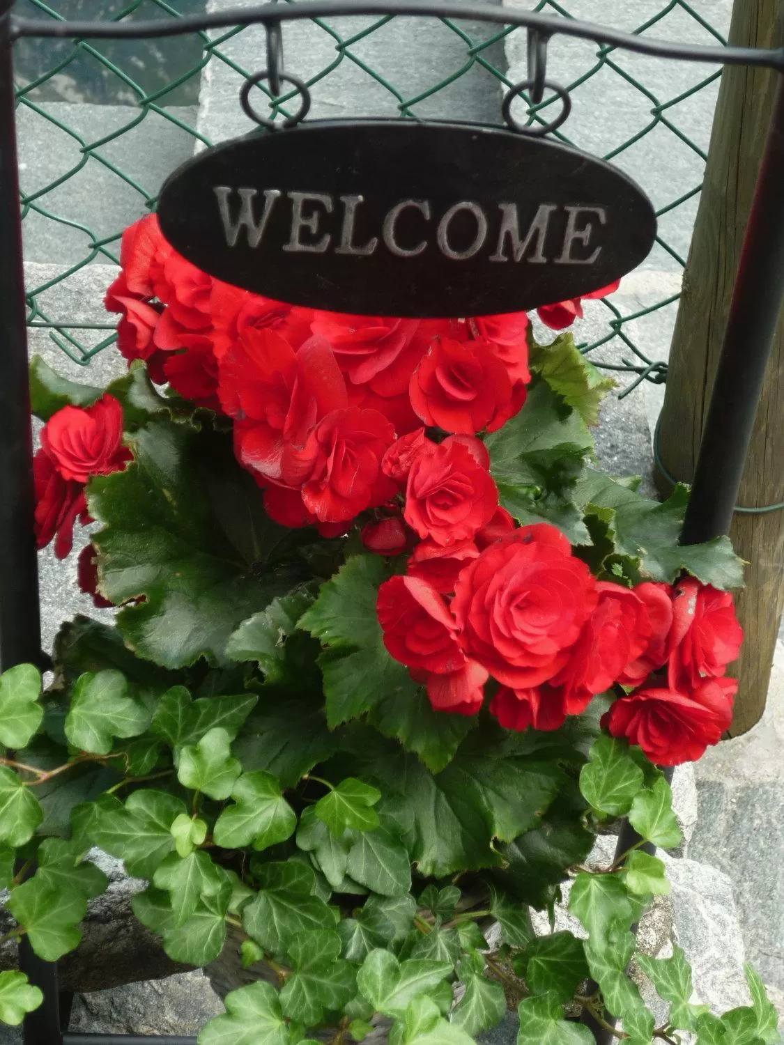 Decorative detail in Charme Hotel Ristorante Tre Terre