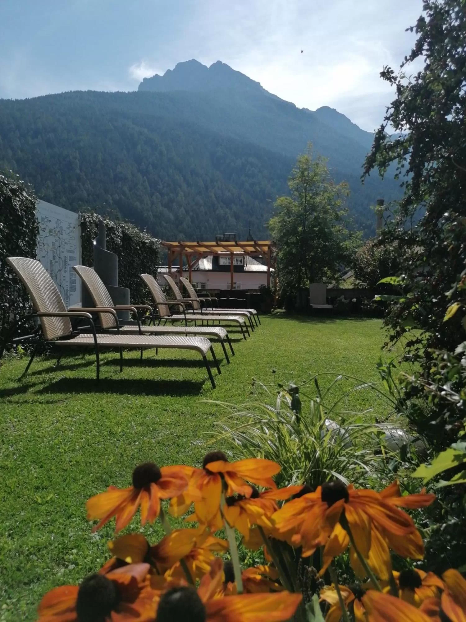 Garden in Adler Hotel-Pension