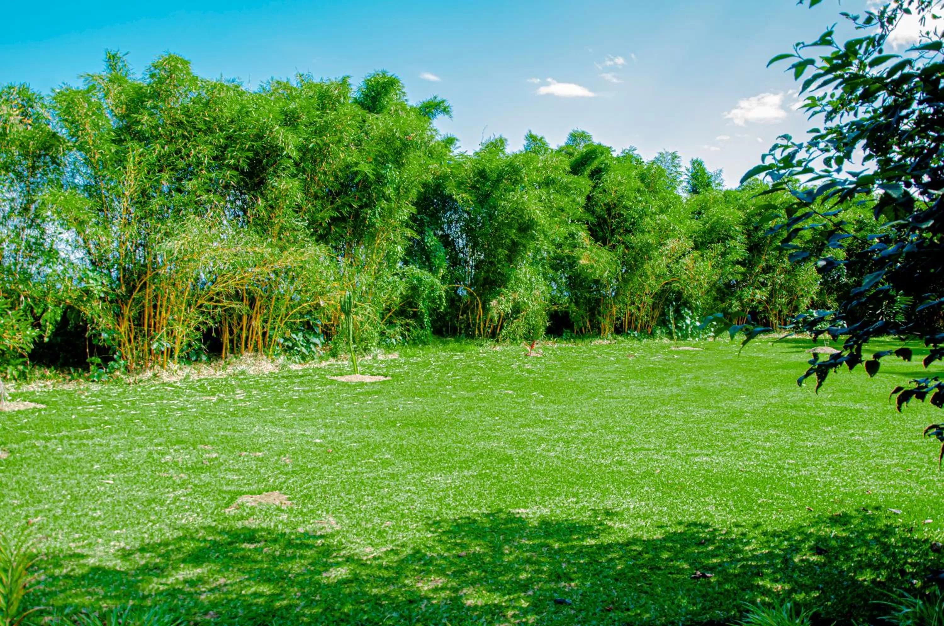 Garden in Fravan Eco Resort By Apogee