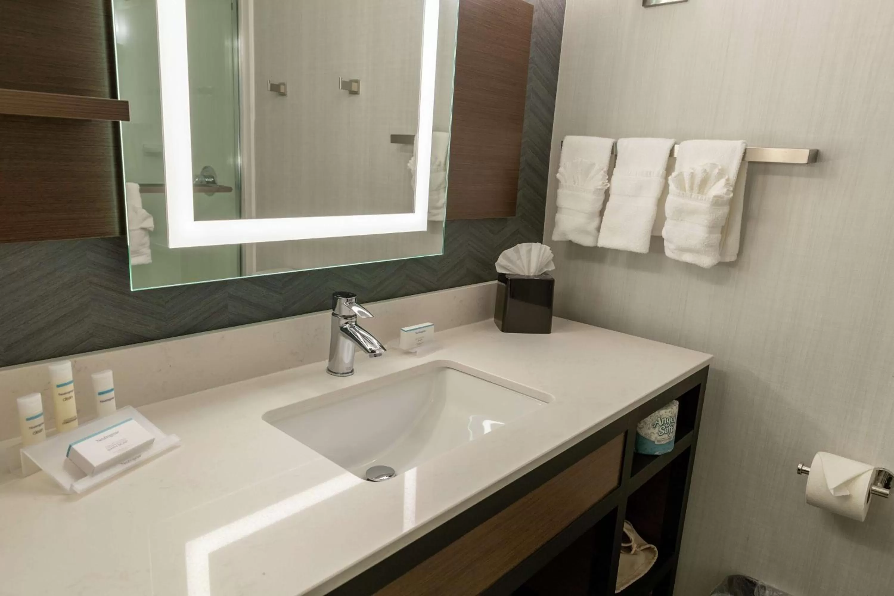 Bathroom in Hilton Garden Inn West Des Moines