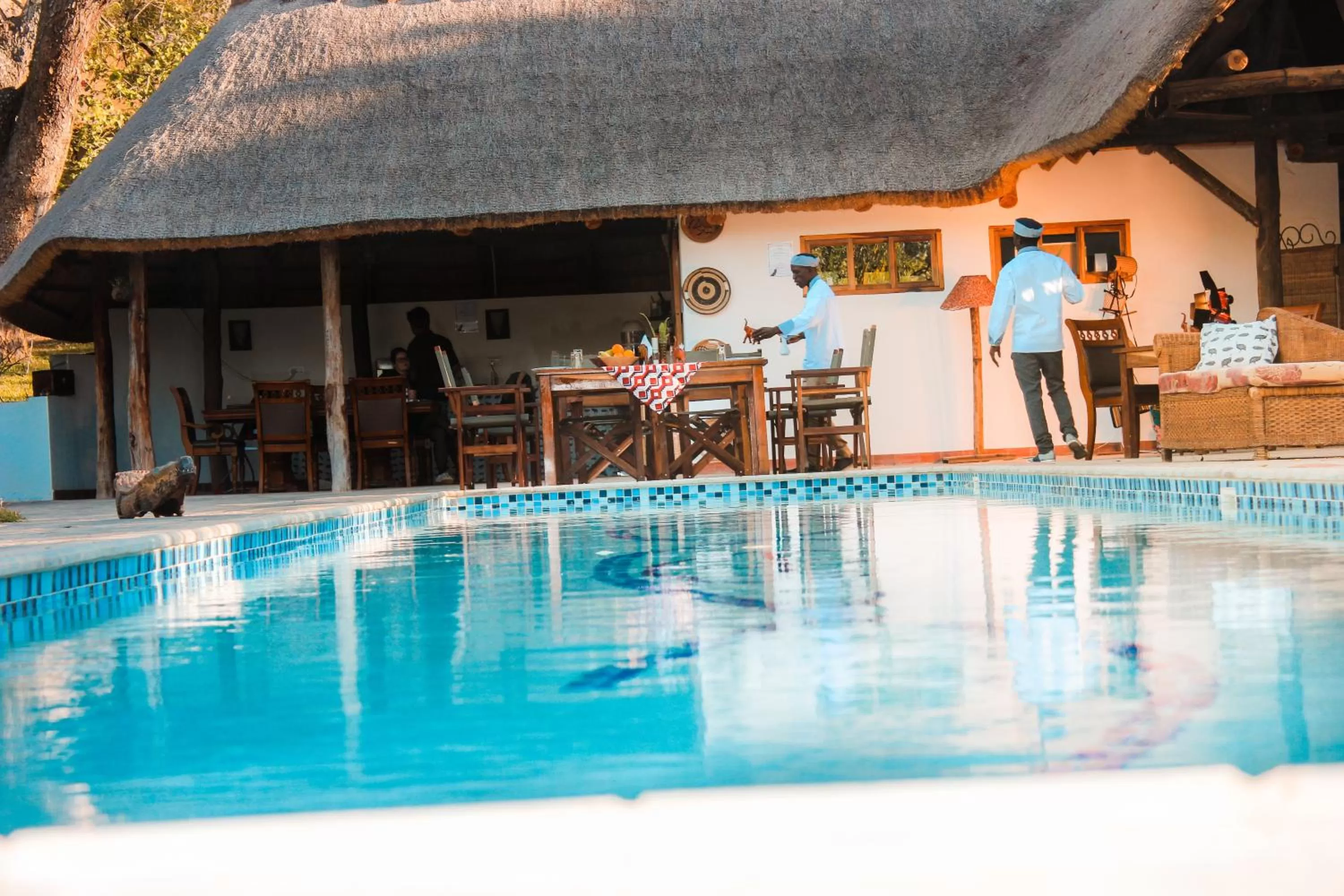 Swimming pool in Wild Dogs Lodge