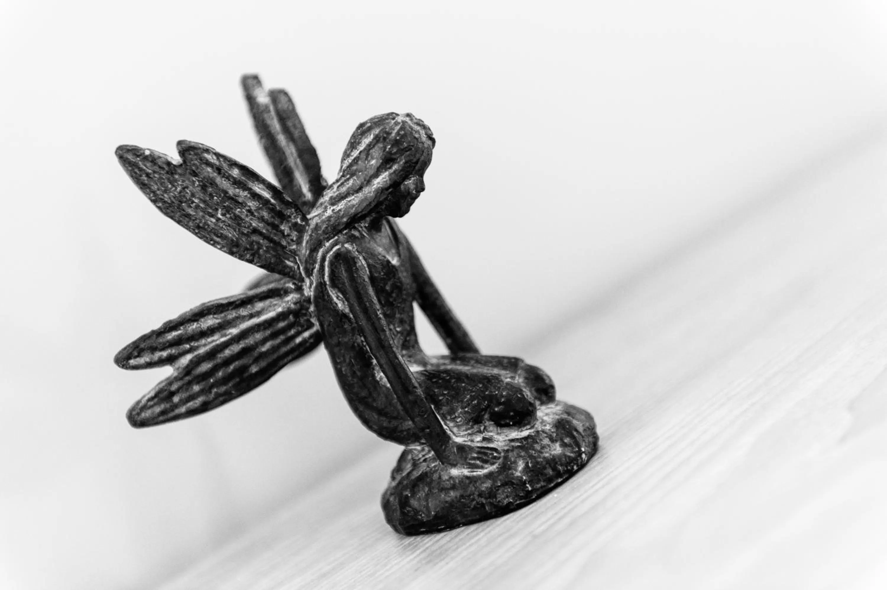 Decorative detail, Other Animals in Birchover Bridgford Hall