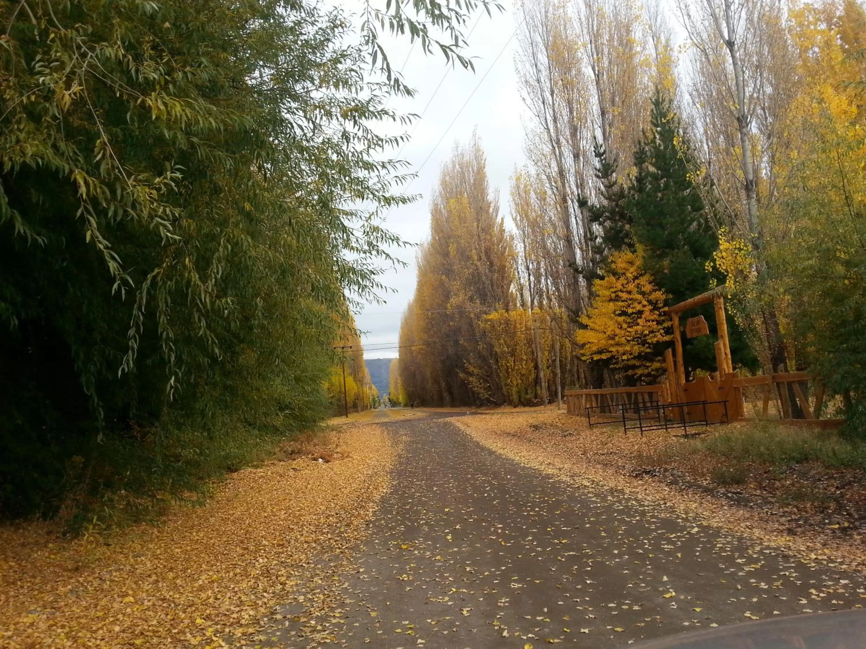 Garden in Hotel Mora