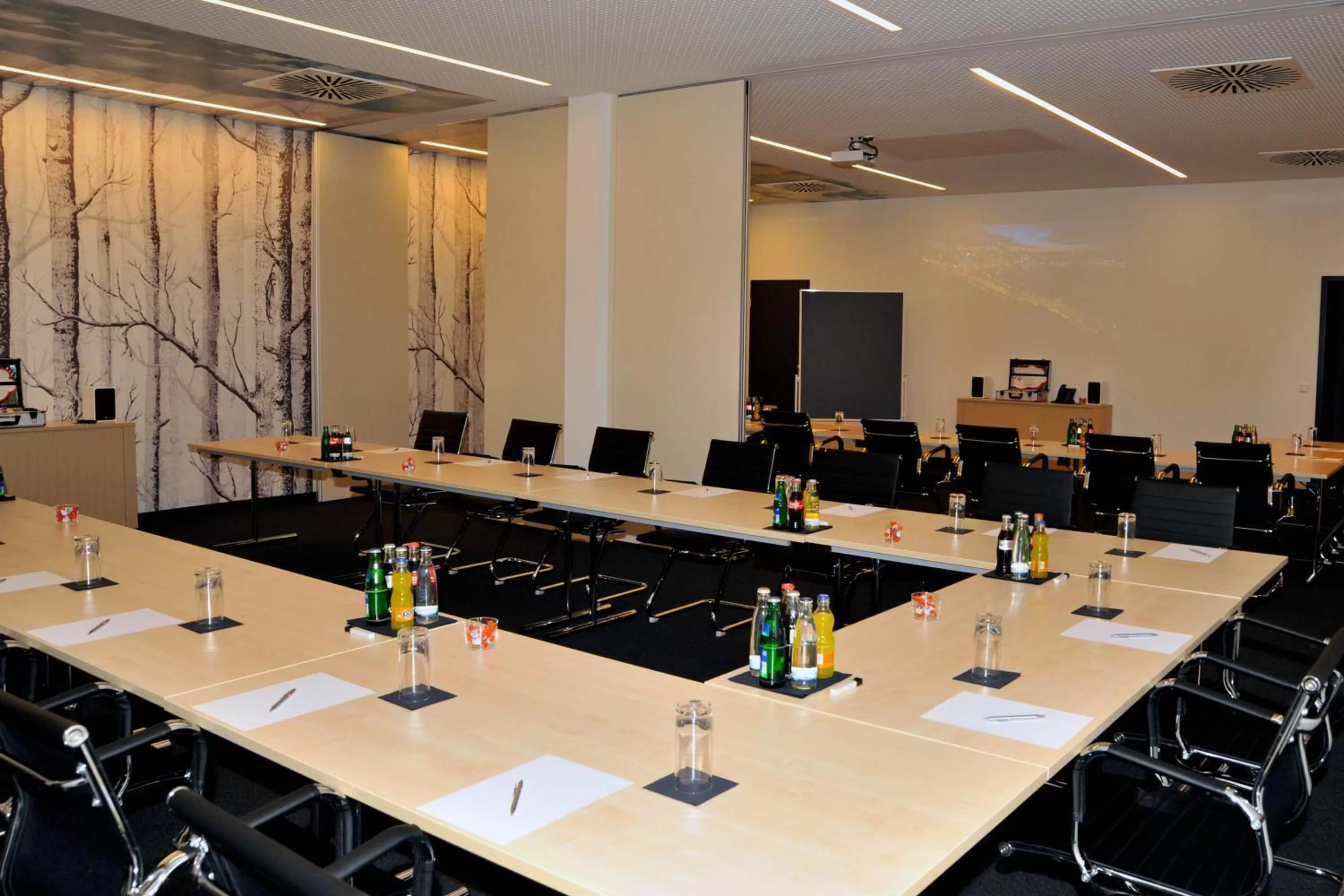 Meeting/conference room in Centrale Hotel und Restaurant