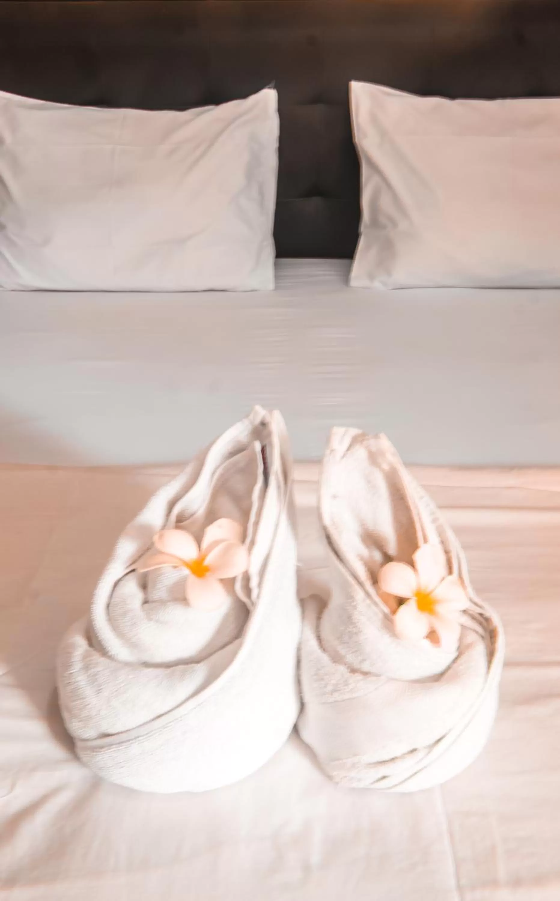 Bed in Tangkoko Lodge