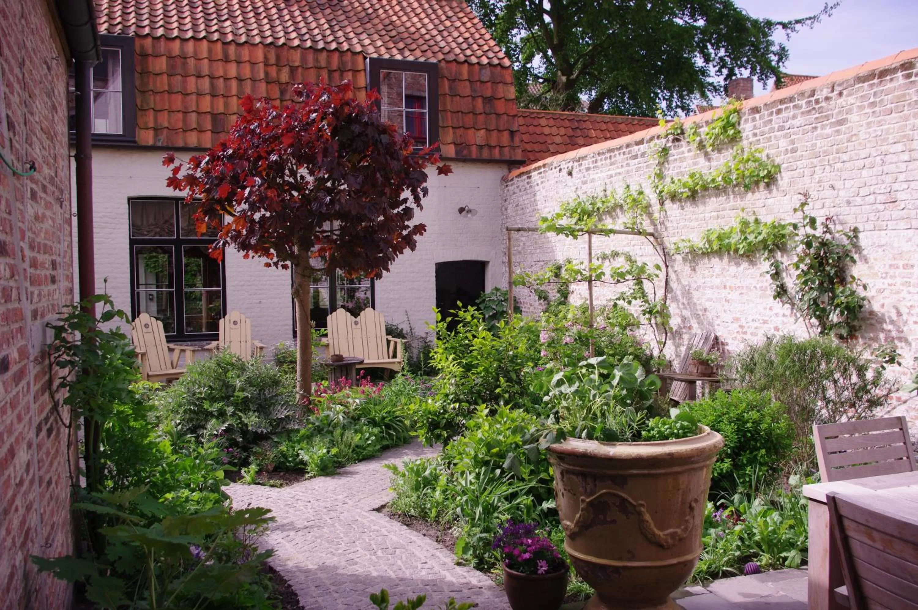 Patio in B&B Canal Deluxe