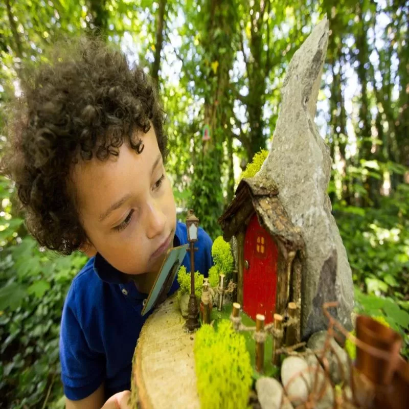 Natural landscape in Treacys Oakwood Hotel, Shannon