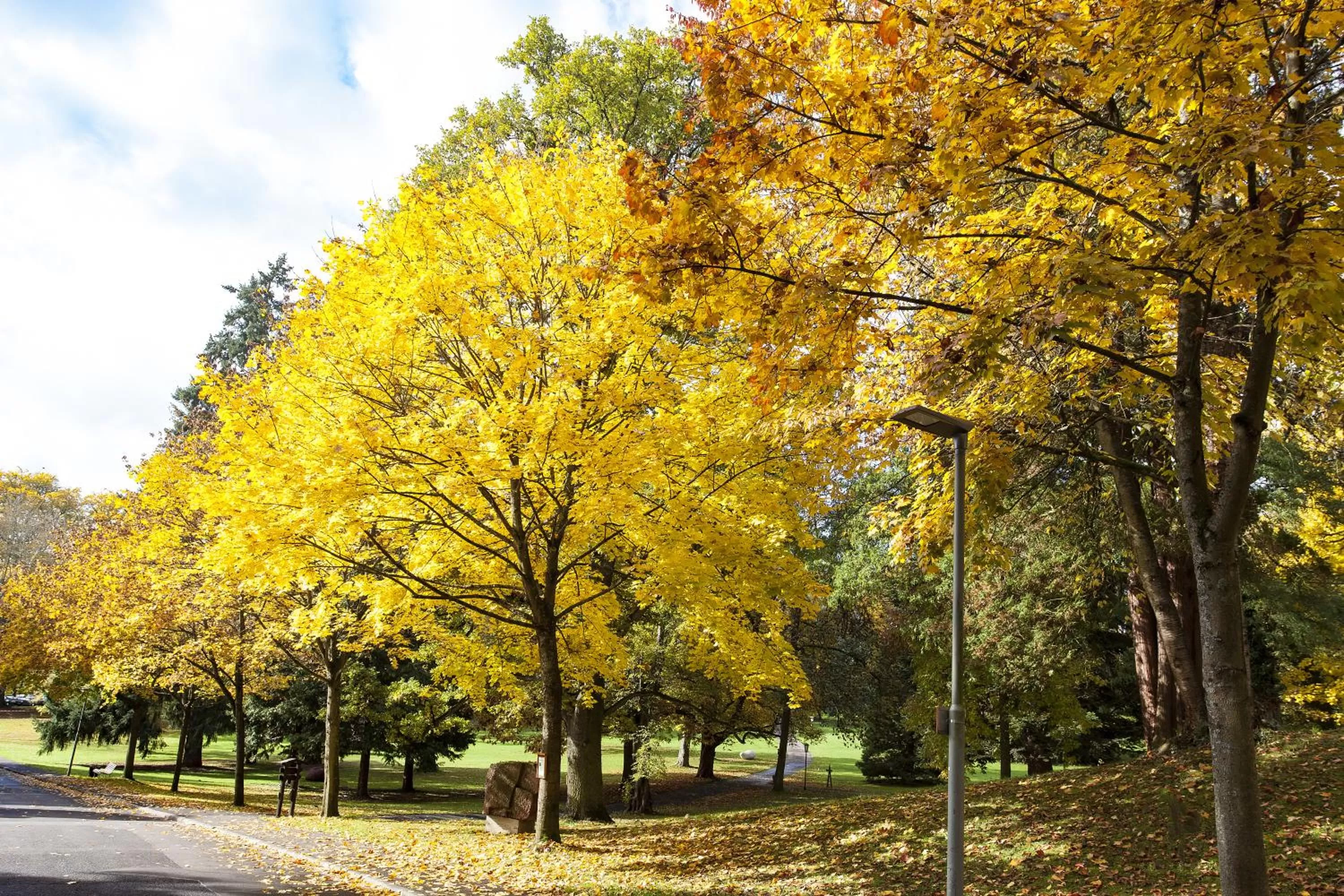 Garden in Kurhaushotel Bad Salzhausen
