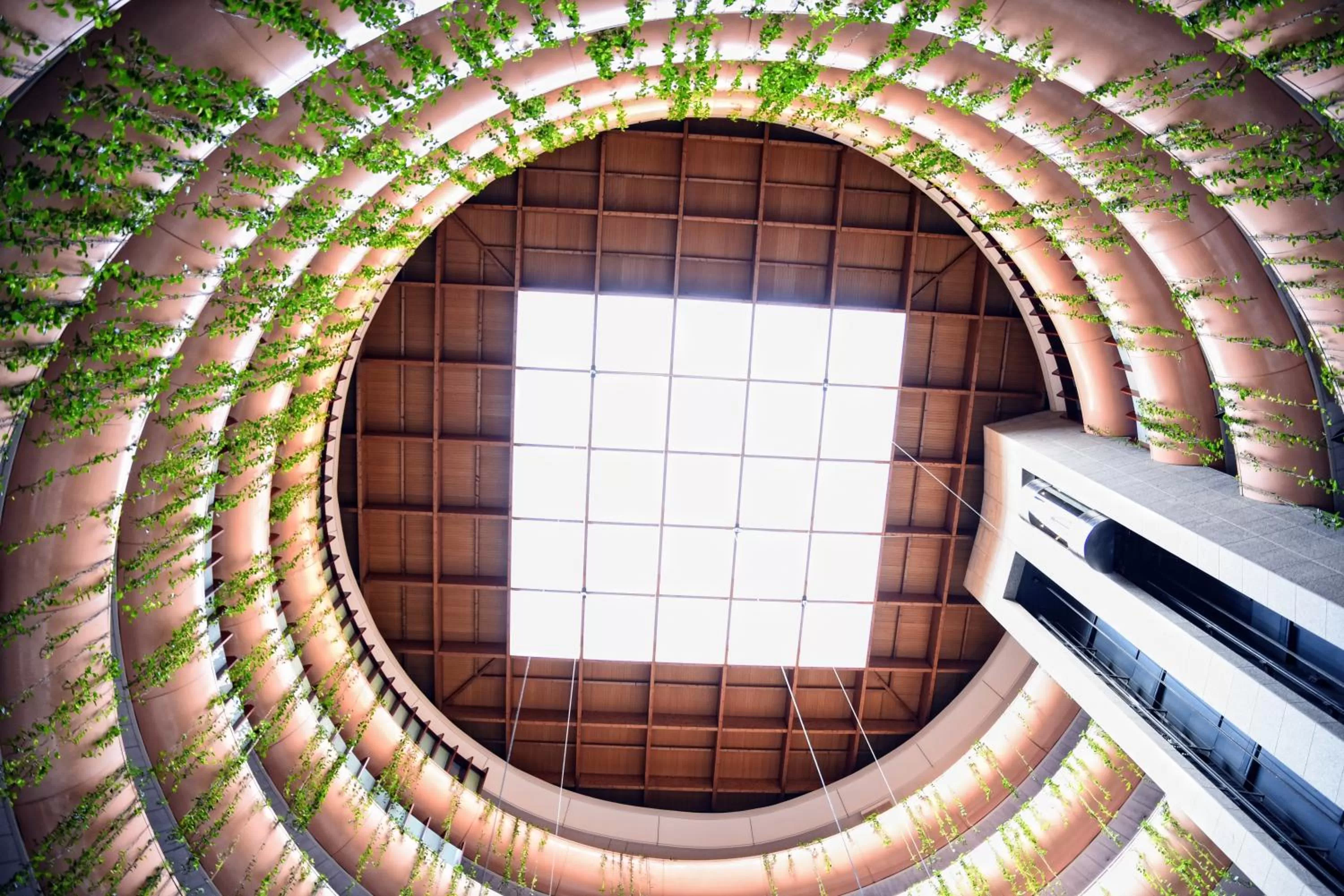 Property building in Eurostars Don Cándido