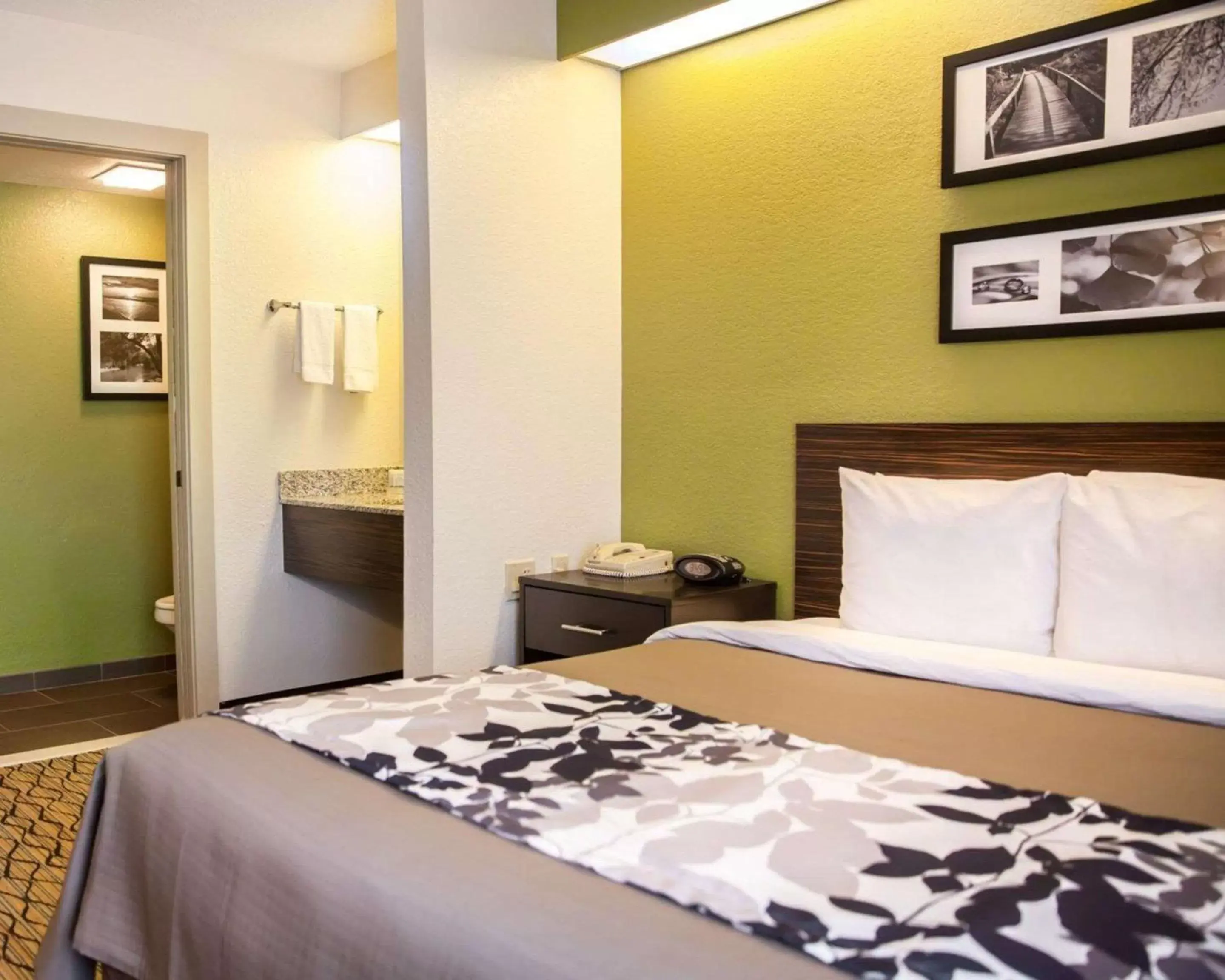 Queen Room - Non-Smoking in Sleep Inn Rockville Queen Room - Non-Smoking in Sleep Inn Rockville