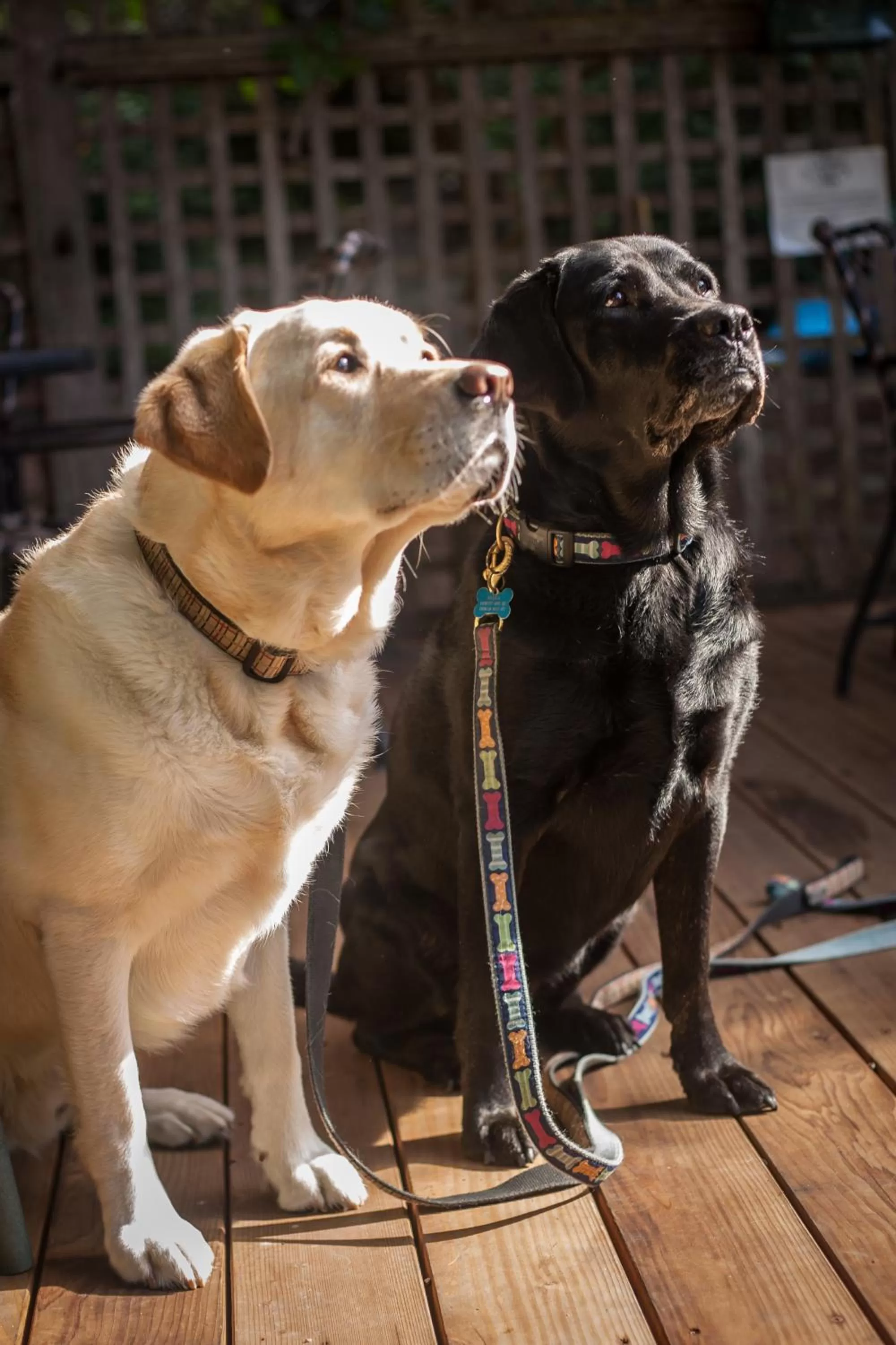 Other in Carmel Country Inn