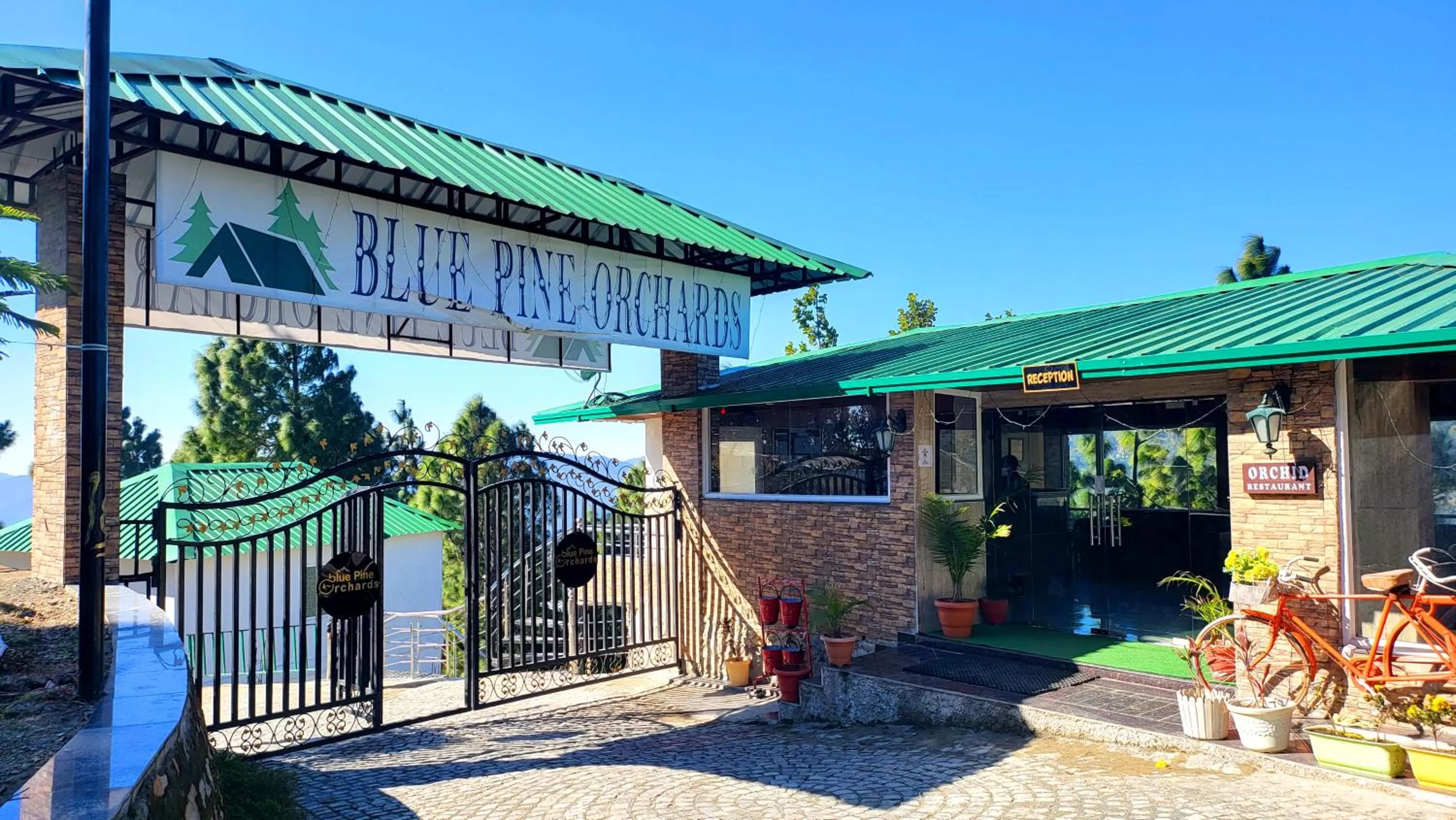 Restaurant/places to eat in Blue Pine Orchards