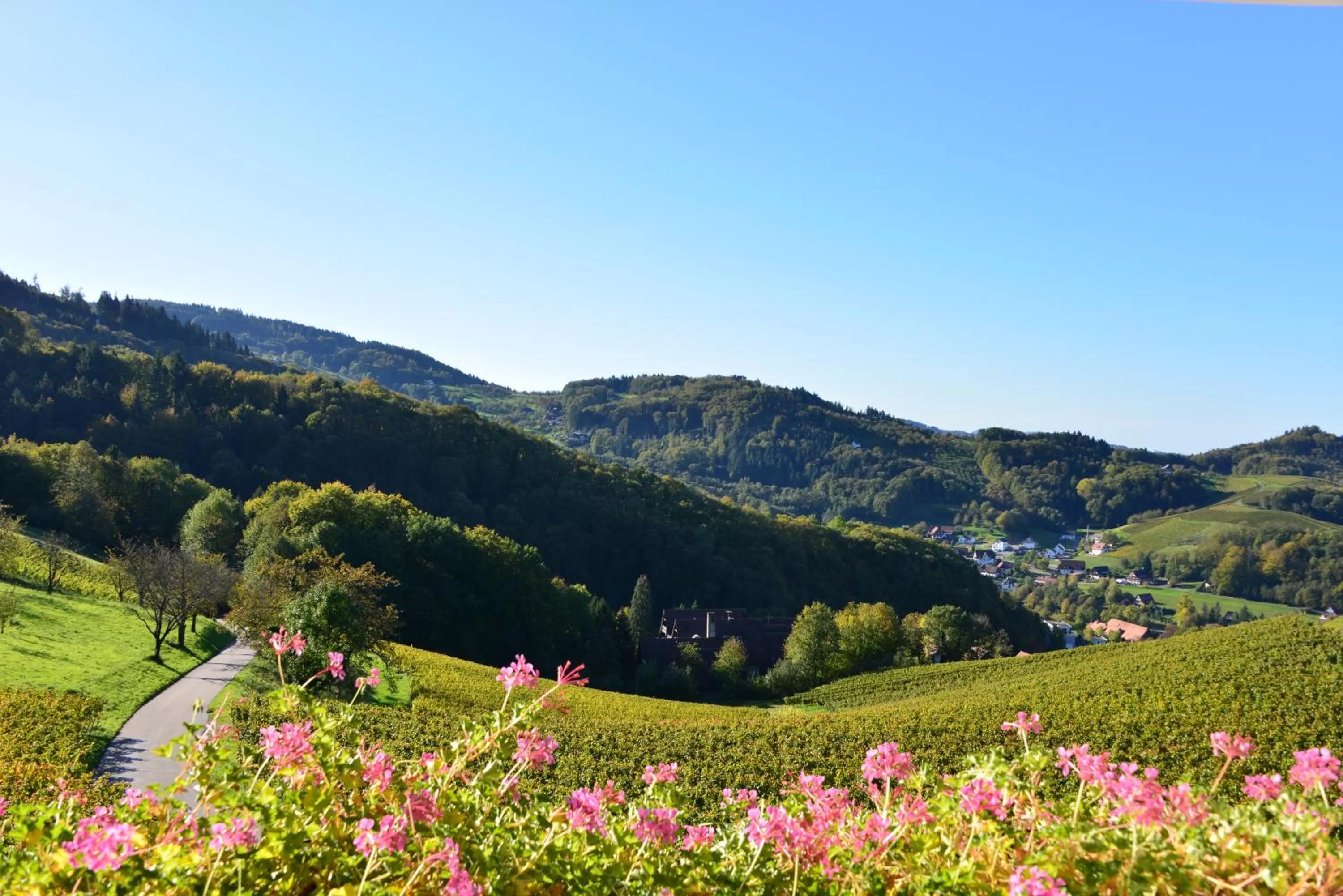 Natural landscape in RelaxHotel Tannenhof
