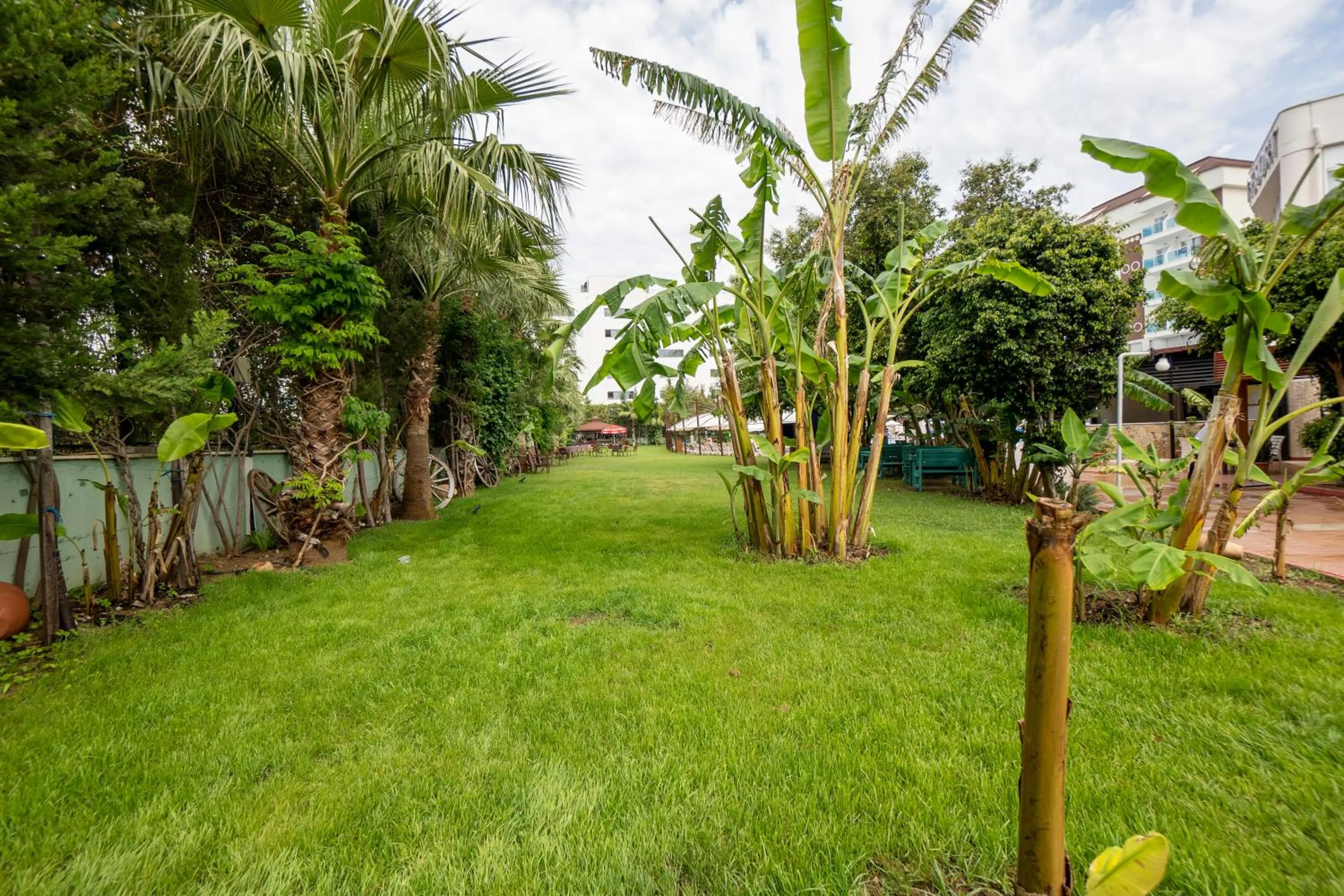 Garden in Cenger Beach Resort Spa - All Inclusive