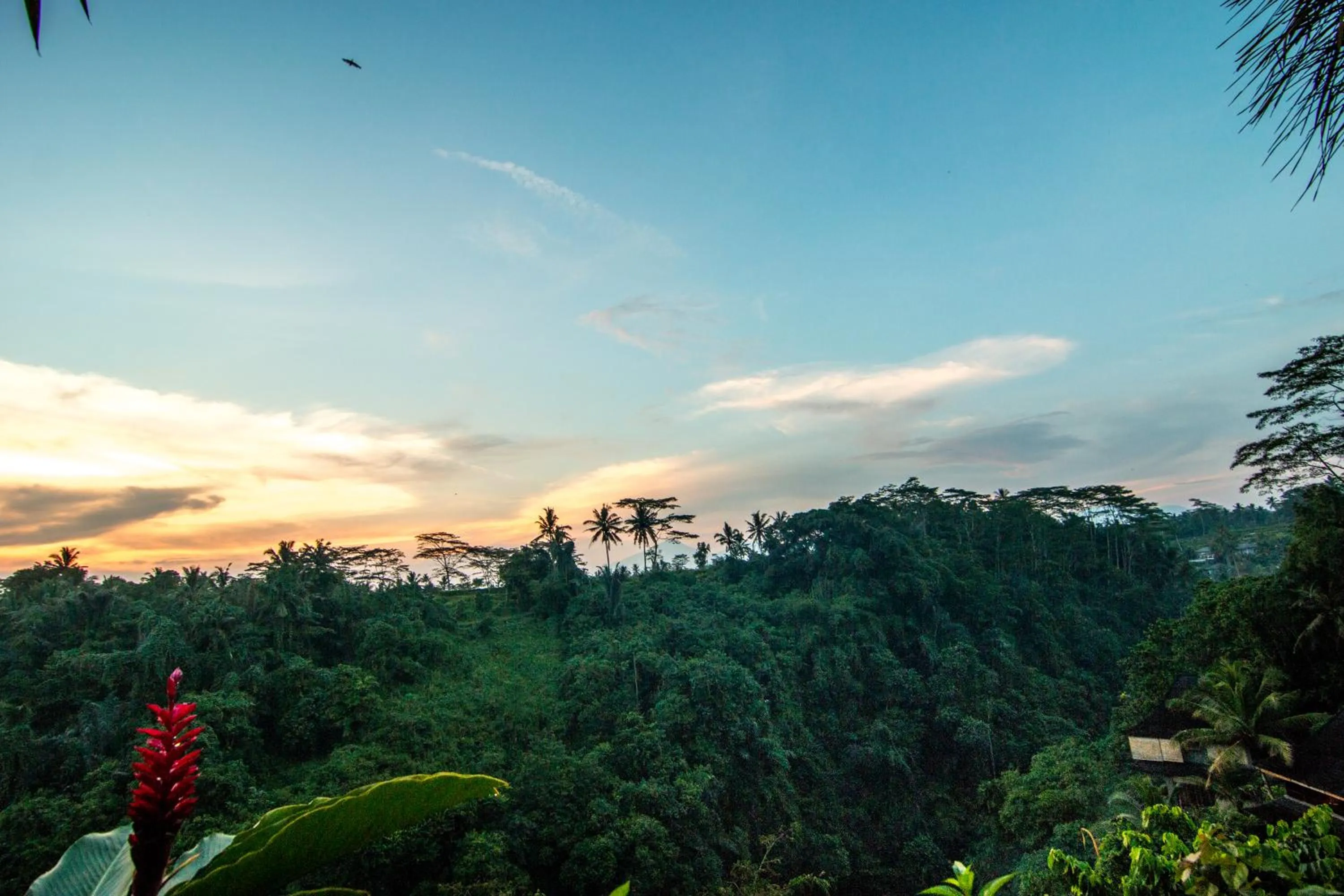 Mountain view in Bidadari Private Villas & Retreat